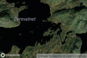 Dyrevatnet