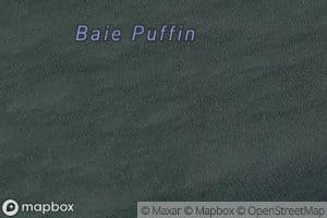 Baie Puffin