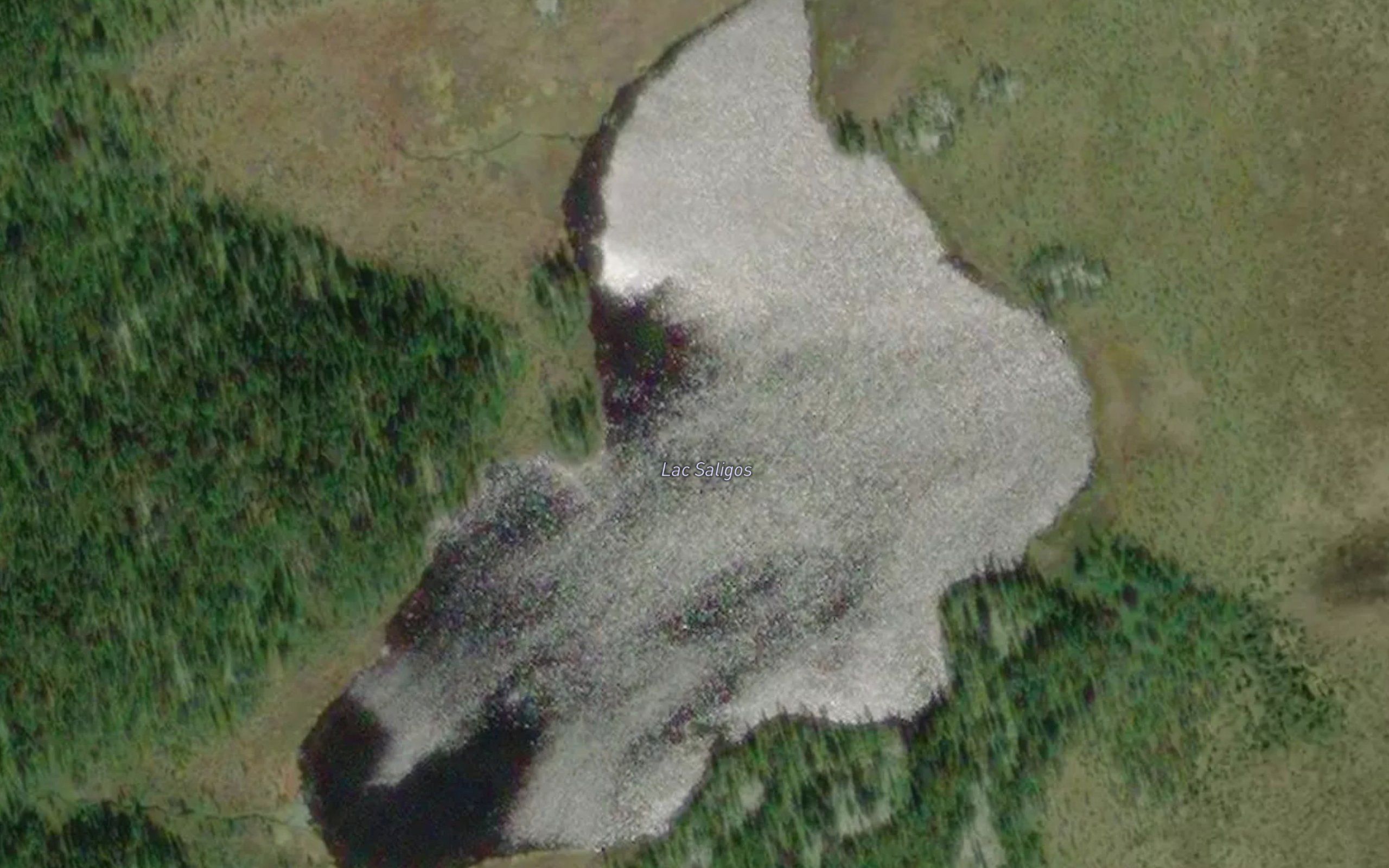 Lac Saligos