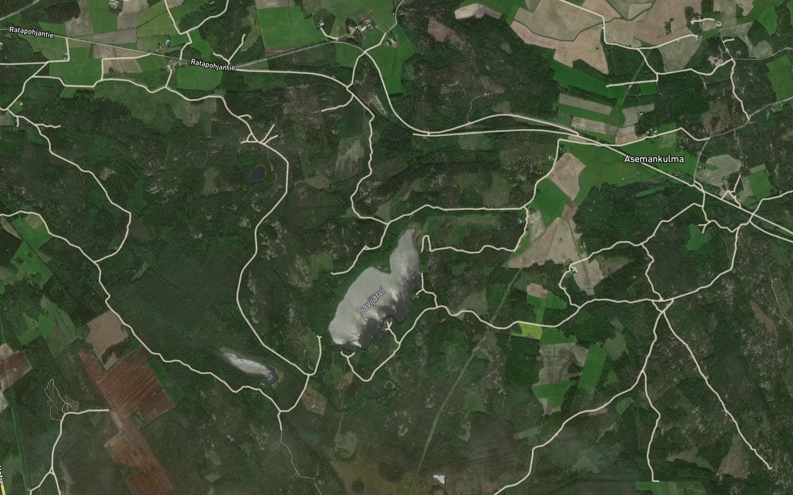 Kivioja