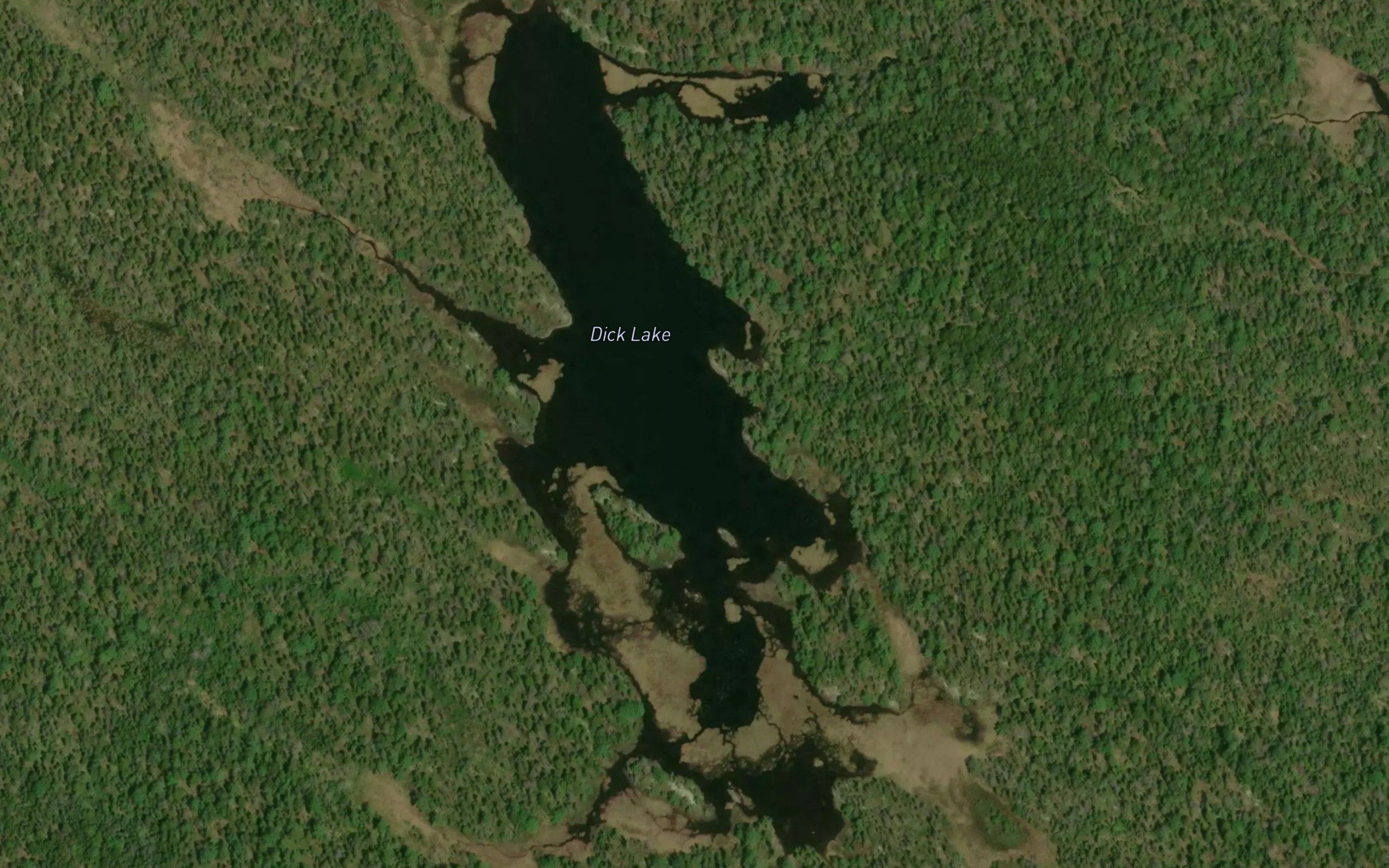 Dick Lake