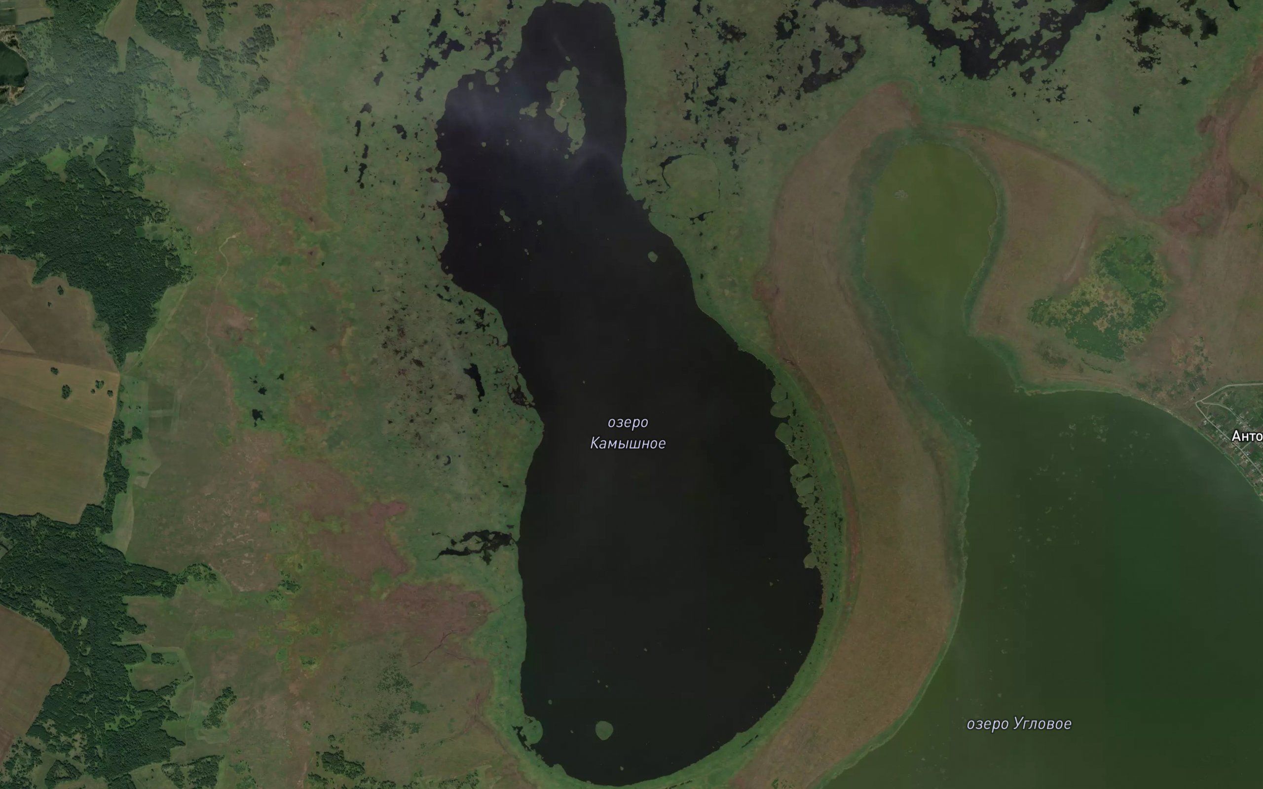 Ozero Kamyshnoye