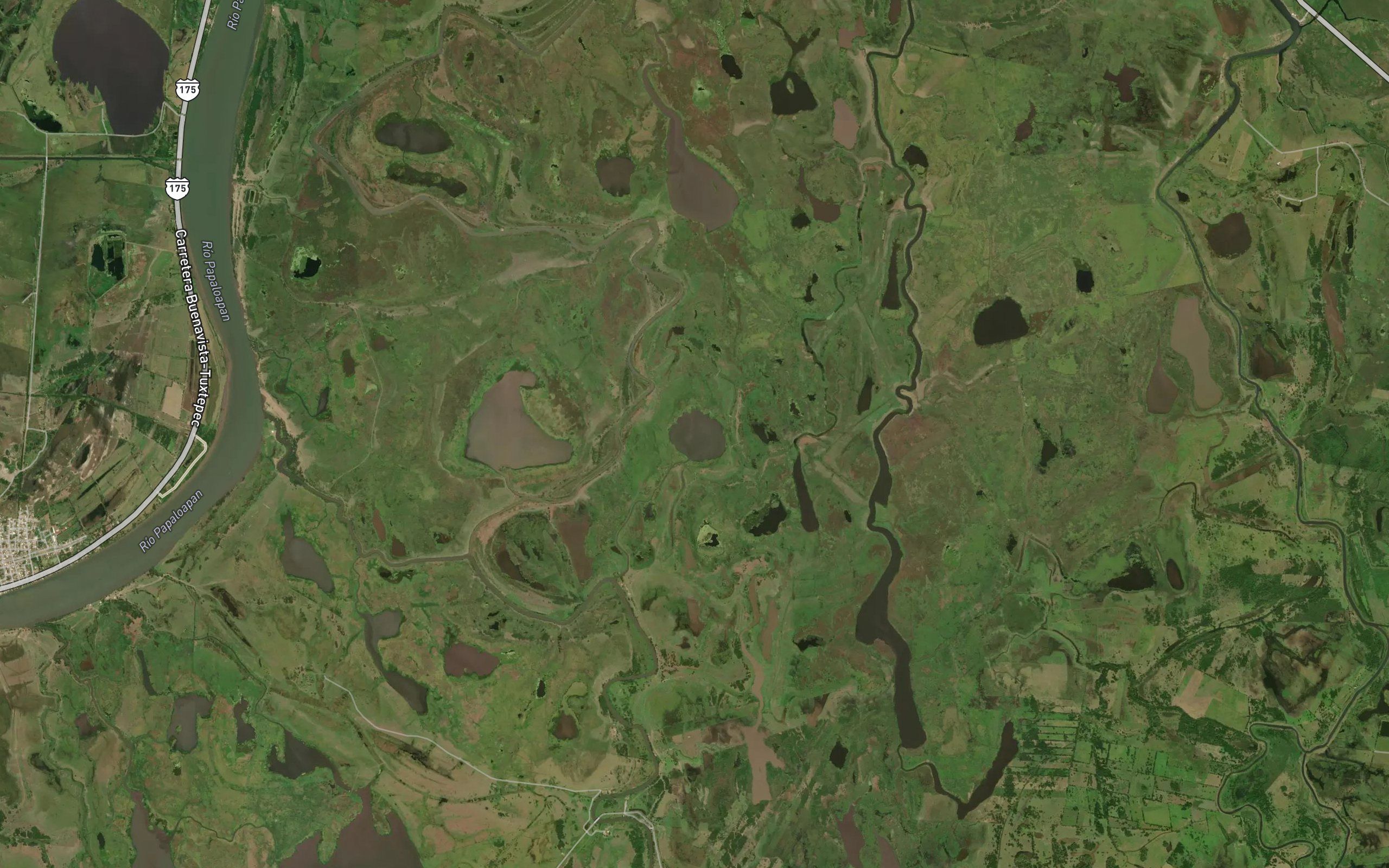 Laguna Buena Vista