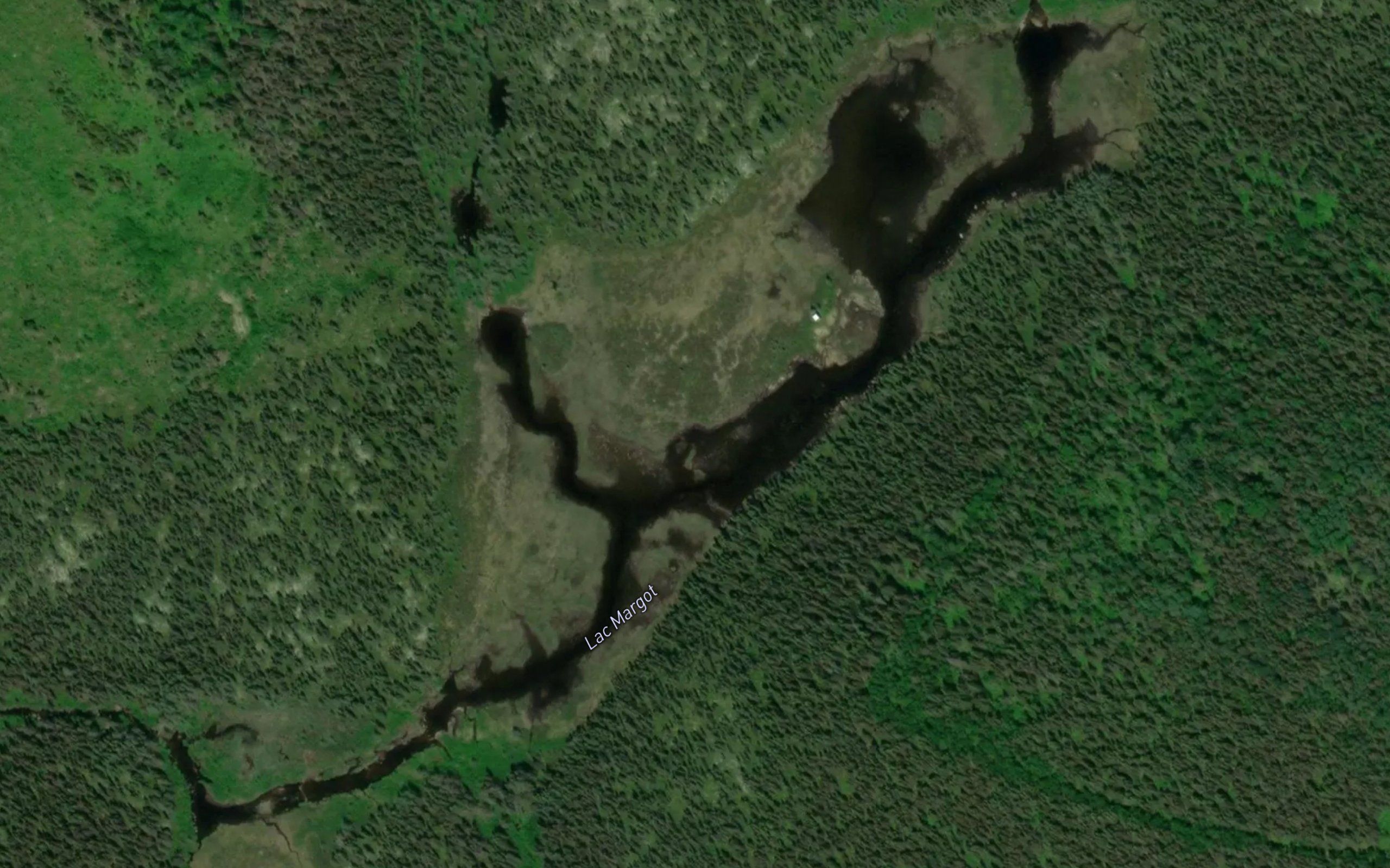 Lac Margot