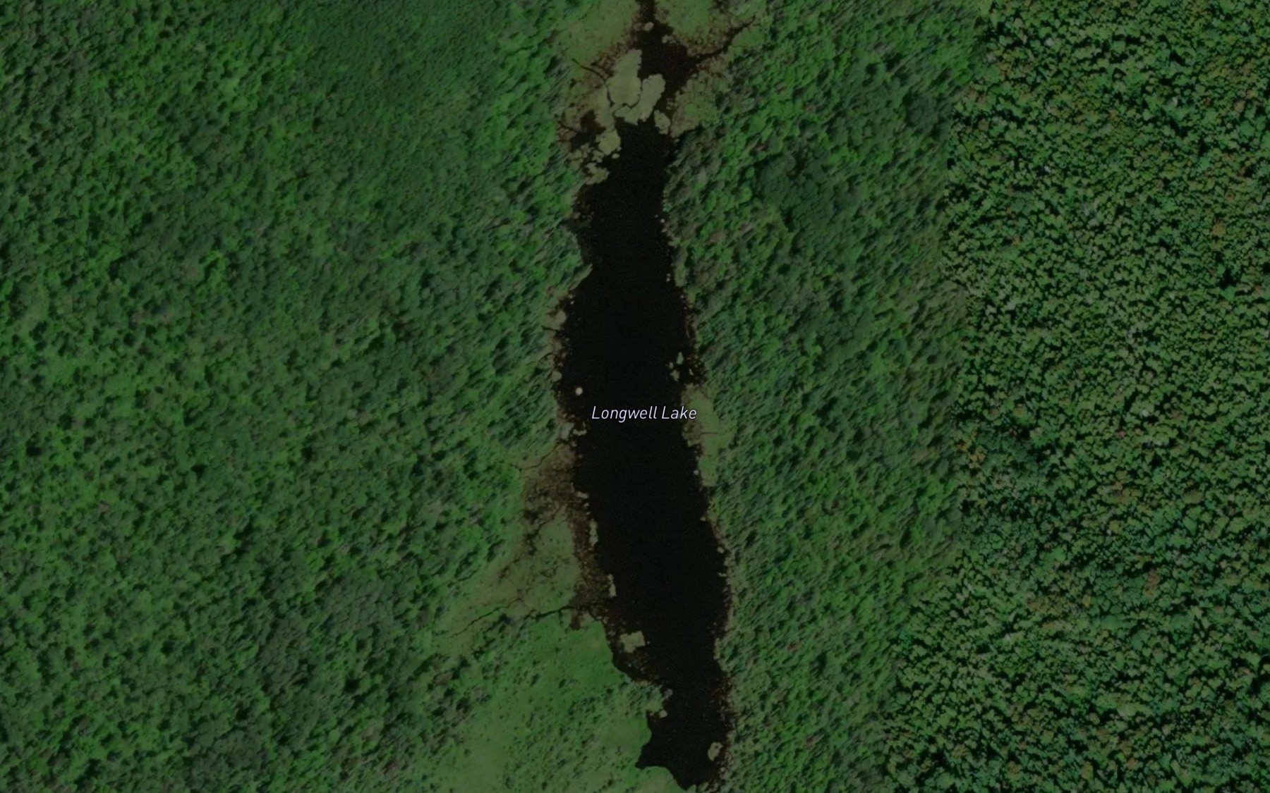 Satellite map of the Longwell Lake