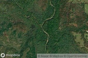 Clear Boggy Creek