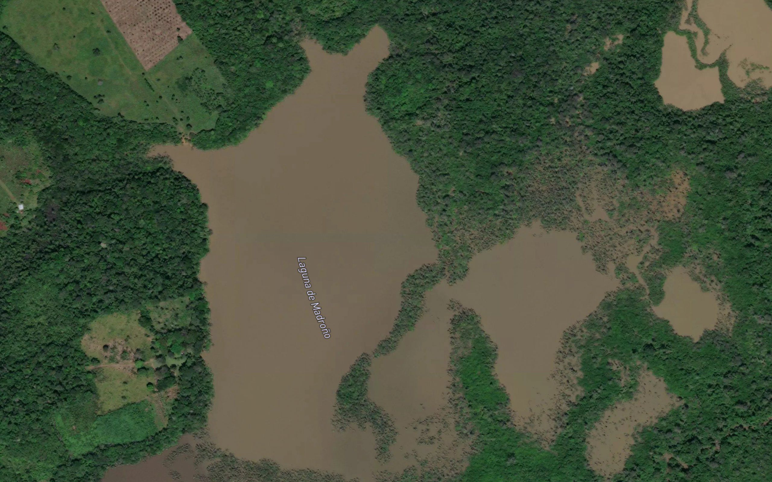 Laguna Madrono