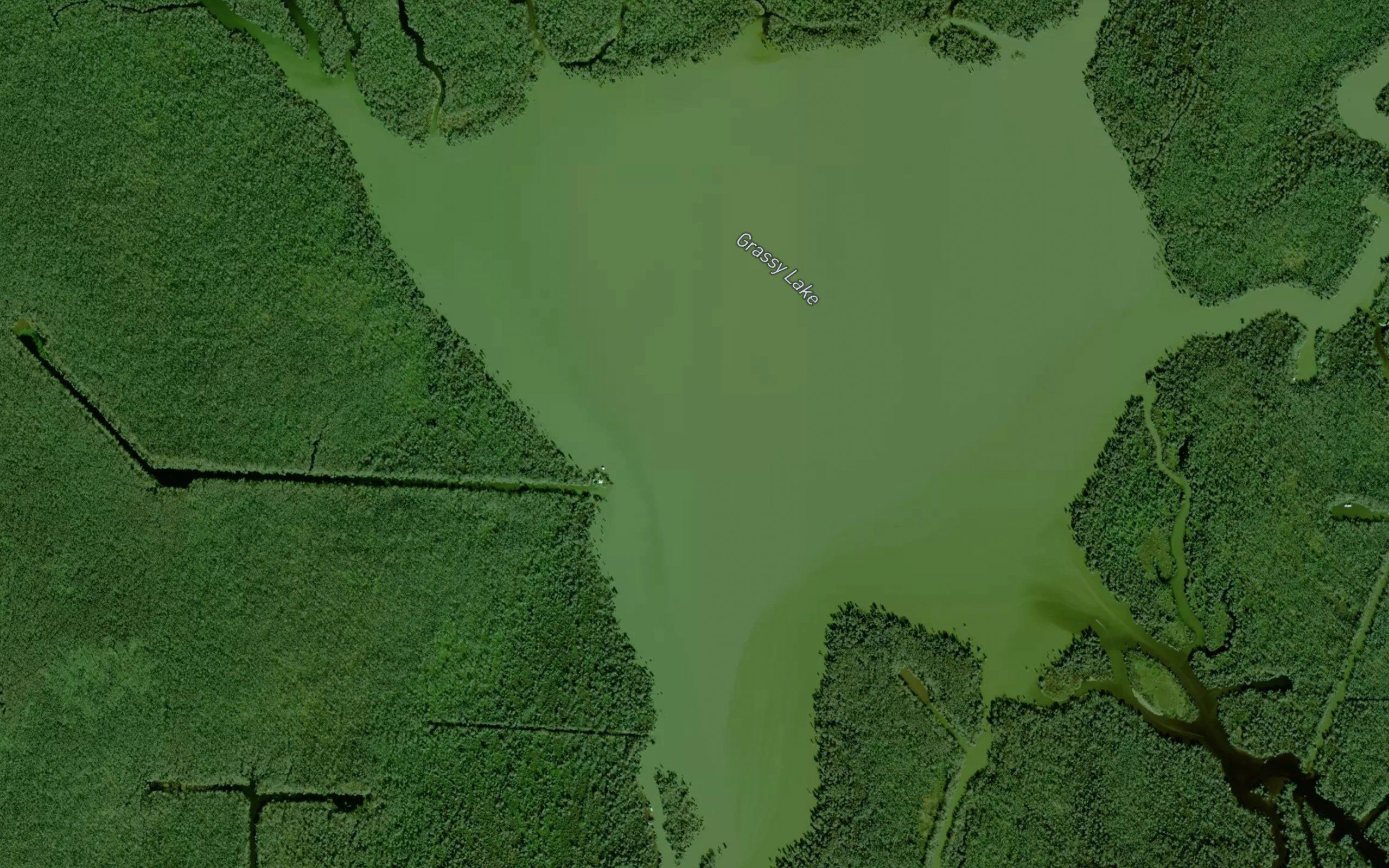 Grassy Lake
