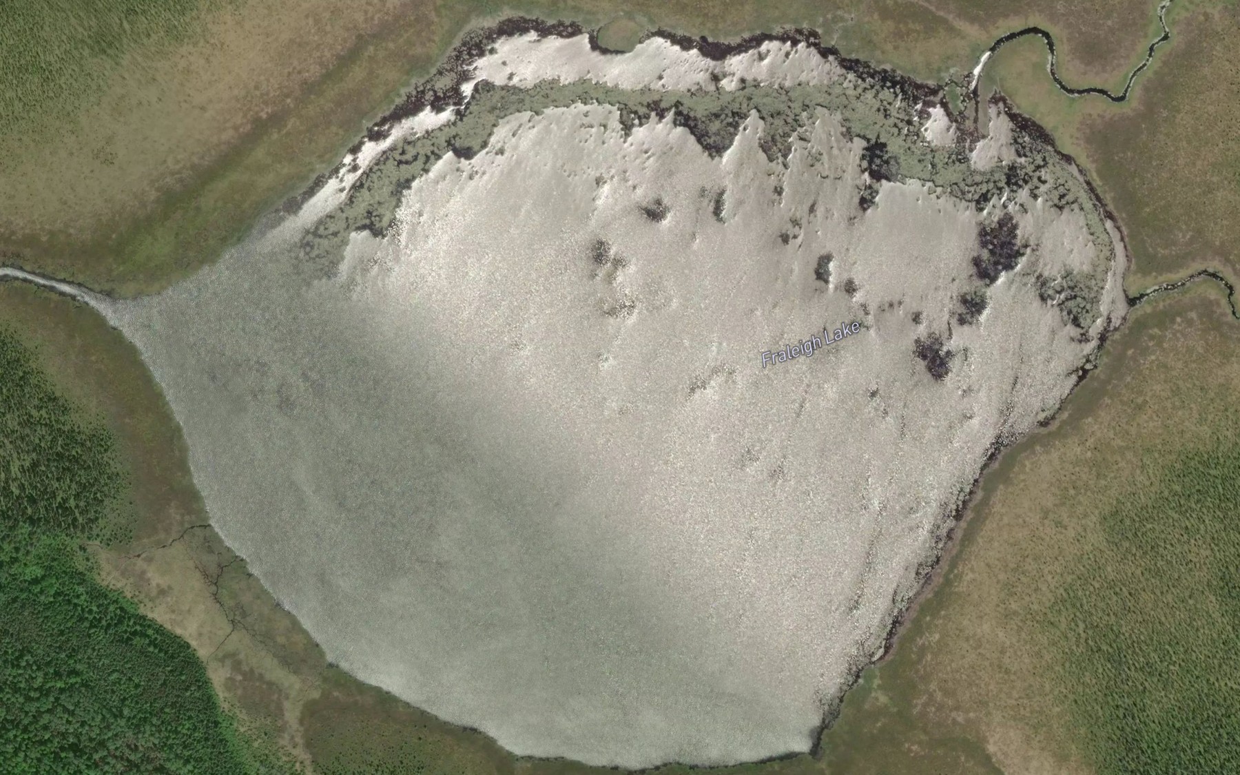 Satellite map of the Fraleigh Lake