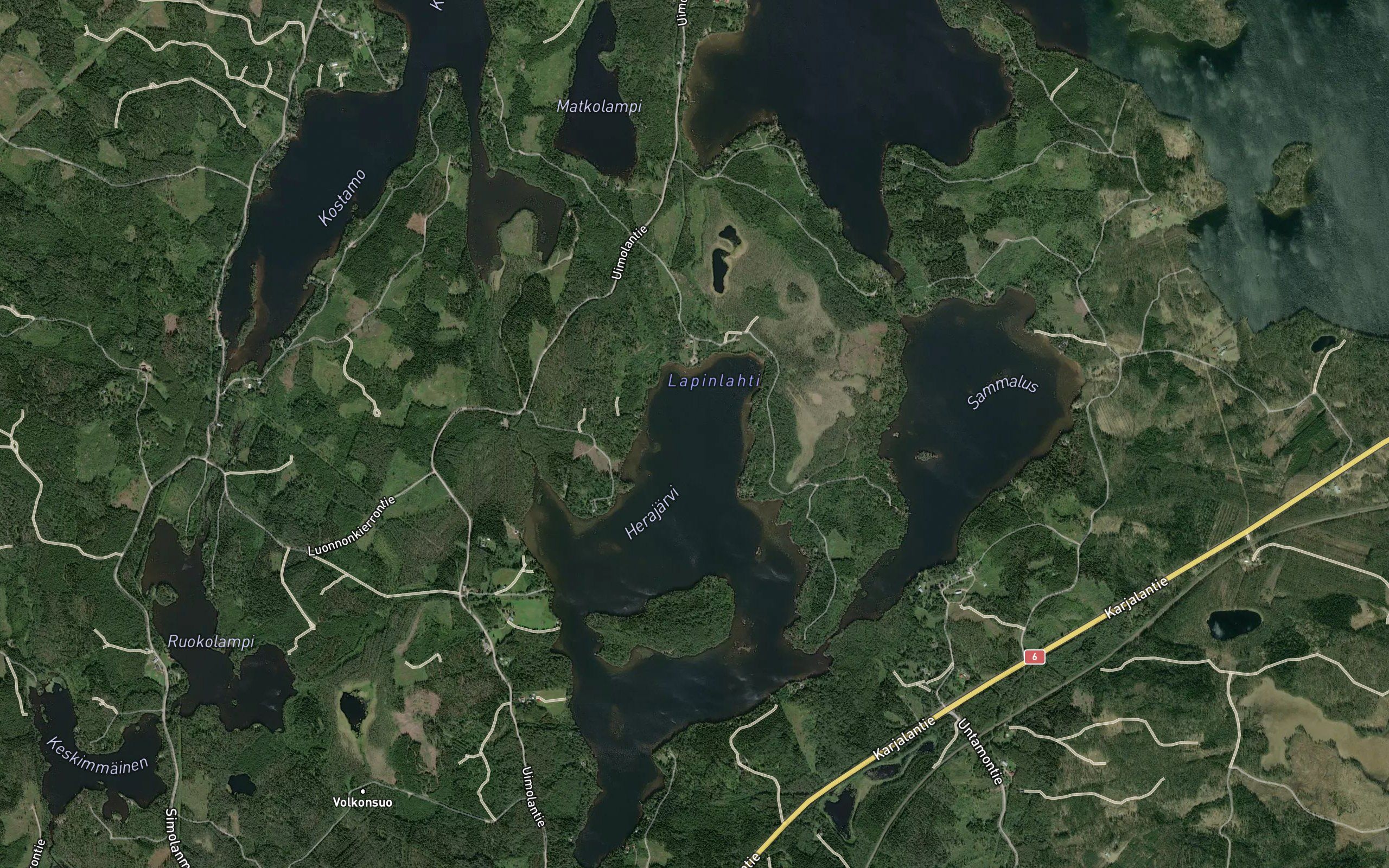 Lapinlahti