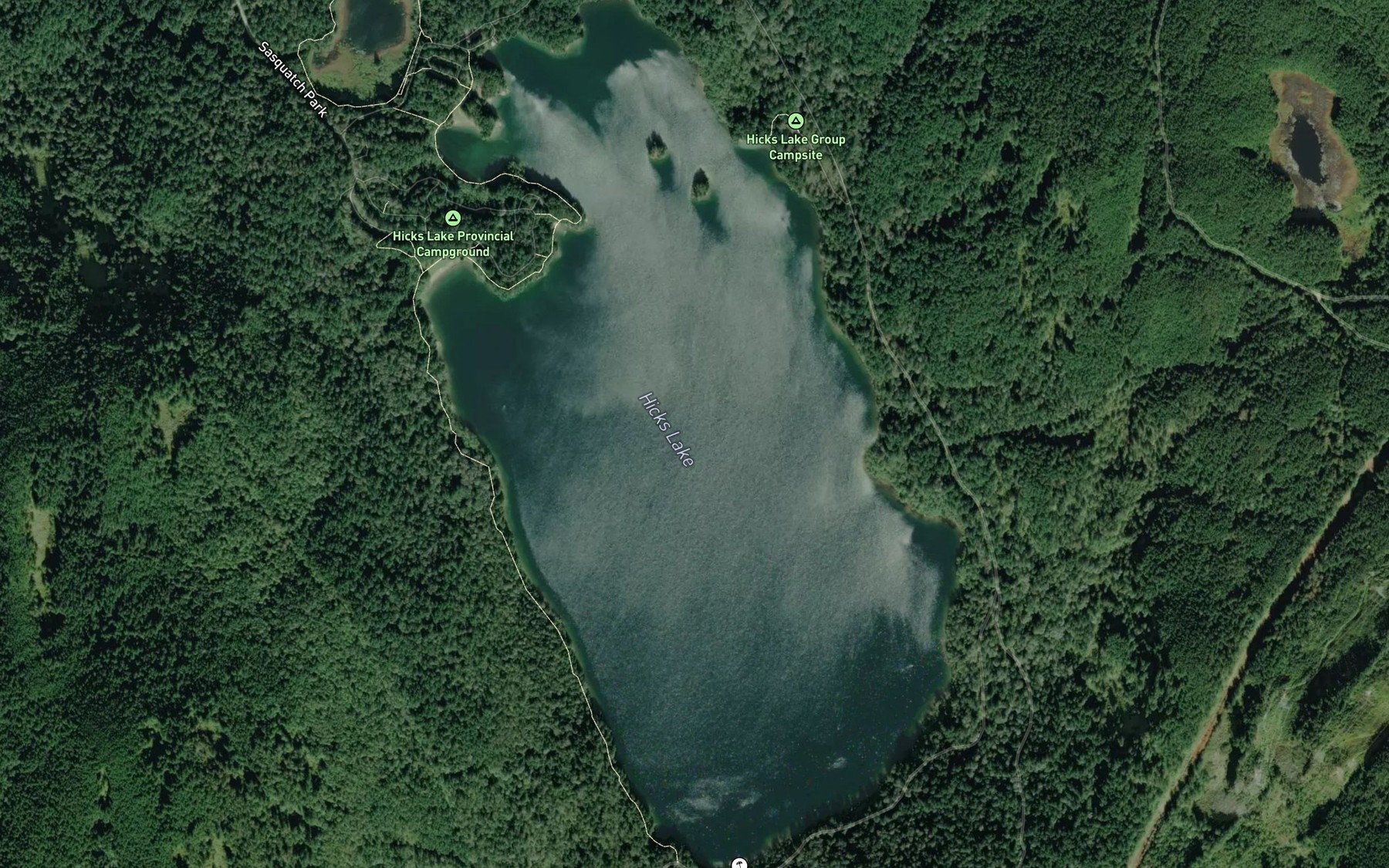 Satellite map of the Hicks Lake