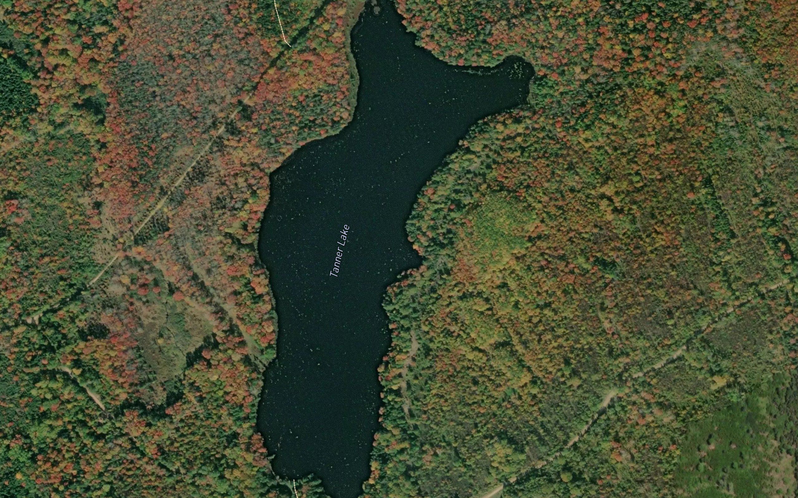 Tanner Lake