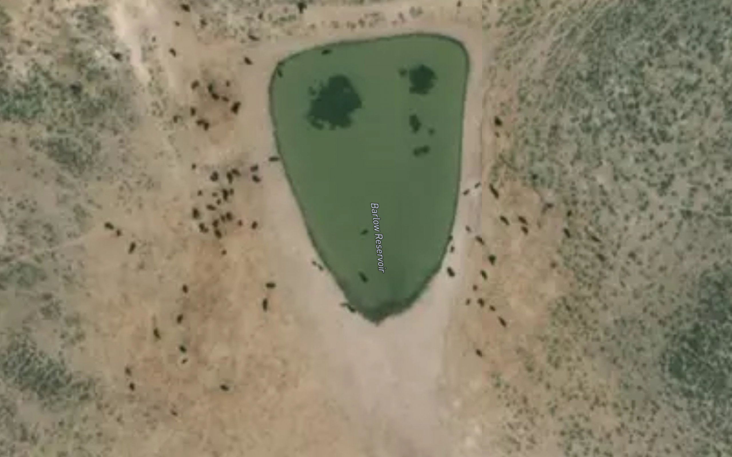 Barlow Reservoir