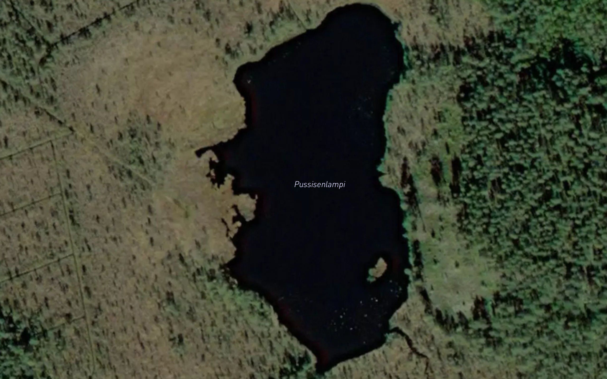 Pussisenlampi