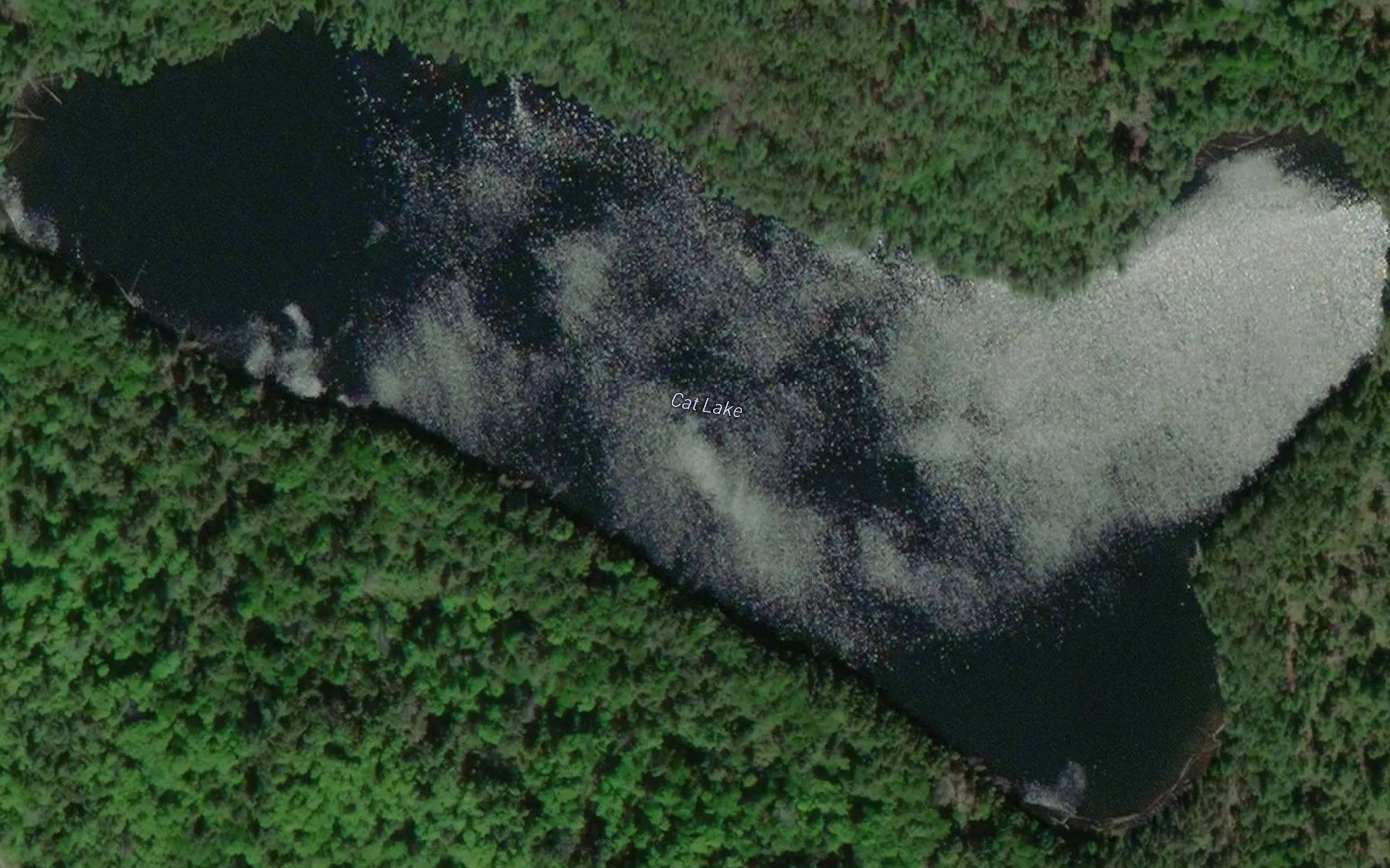 Cat Lake