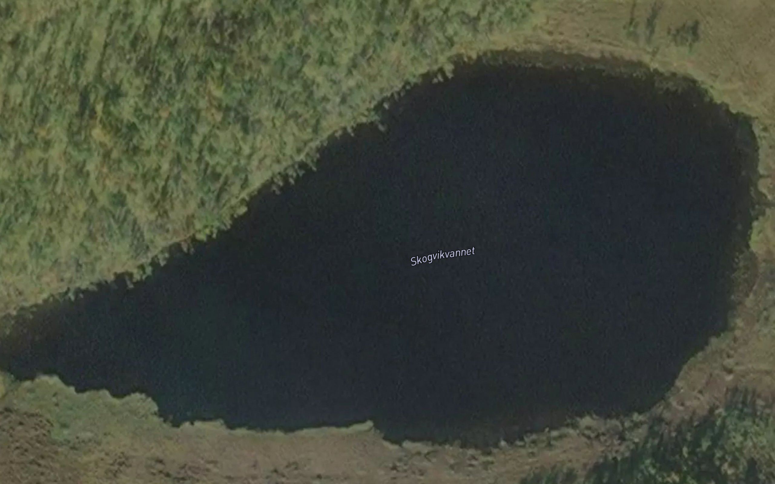 Skogvikvannet