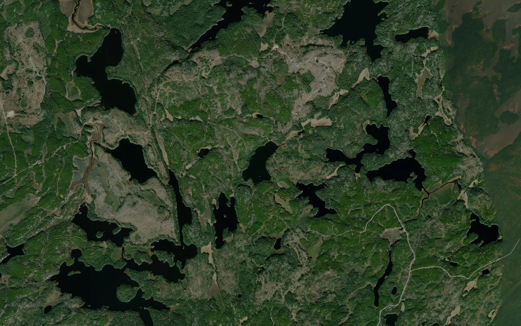 Satellite map of the Arm Lake