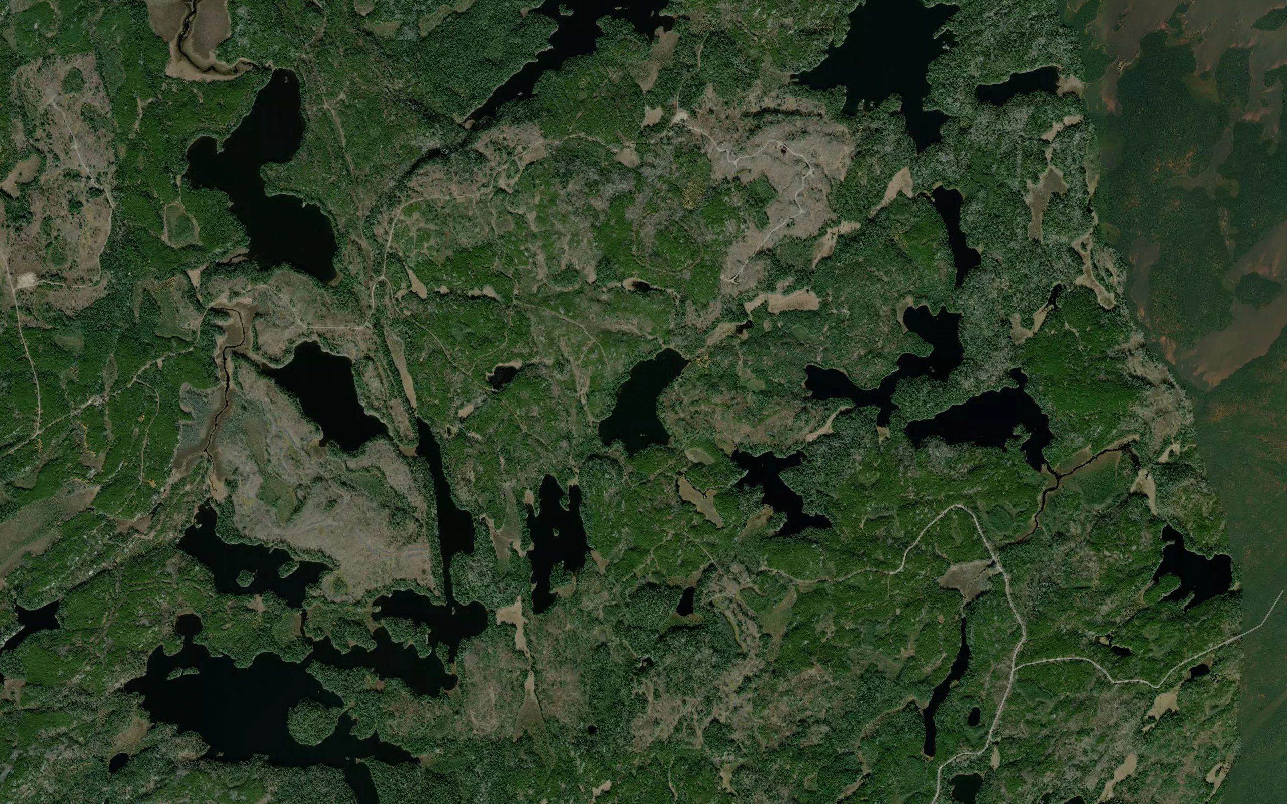 Arm Lake