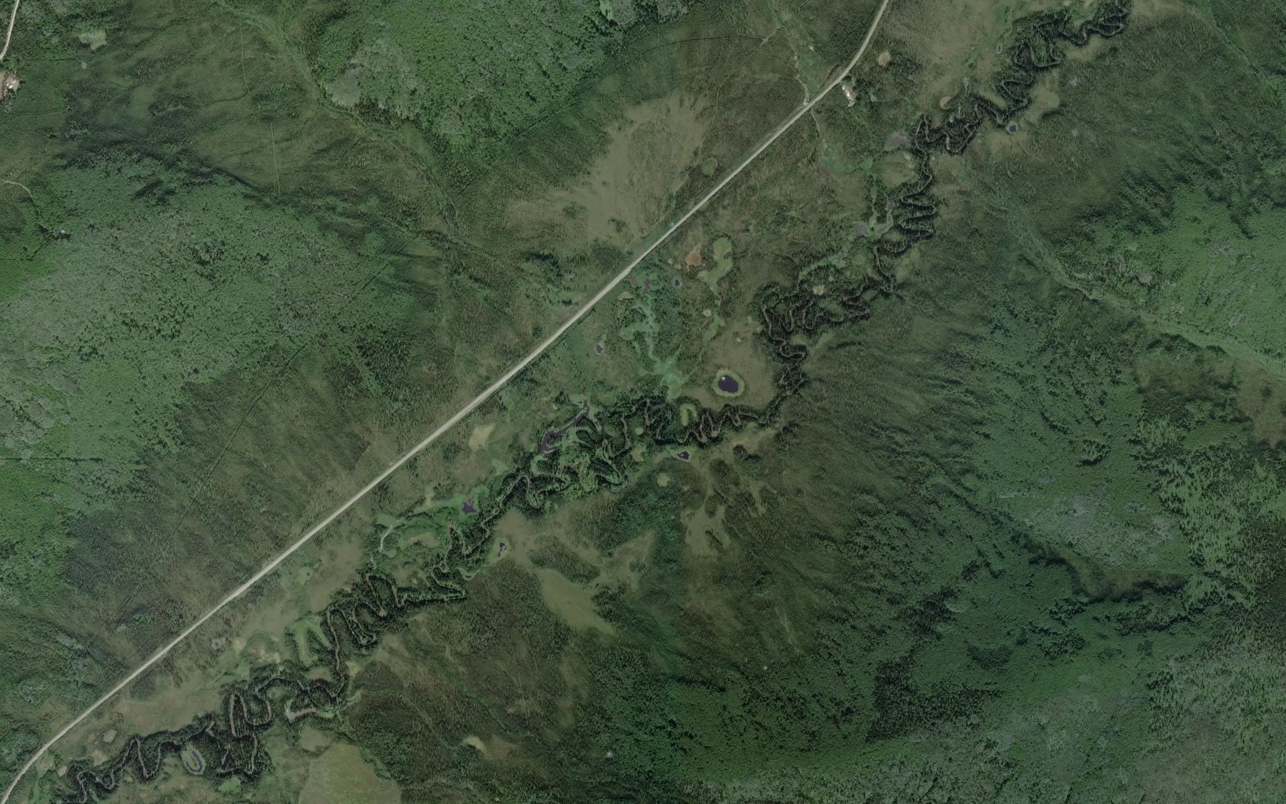 Satellite map of the Lincoln Creek