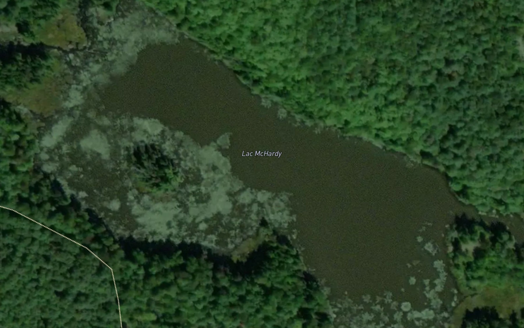 Satellite map of the Lac McHardy