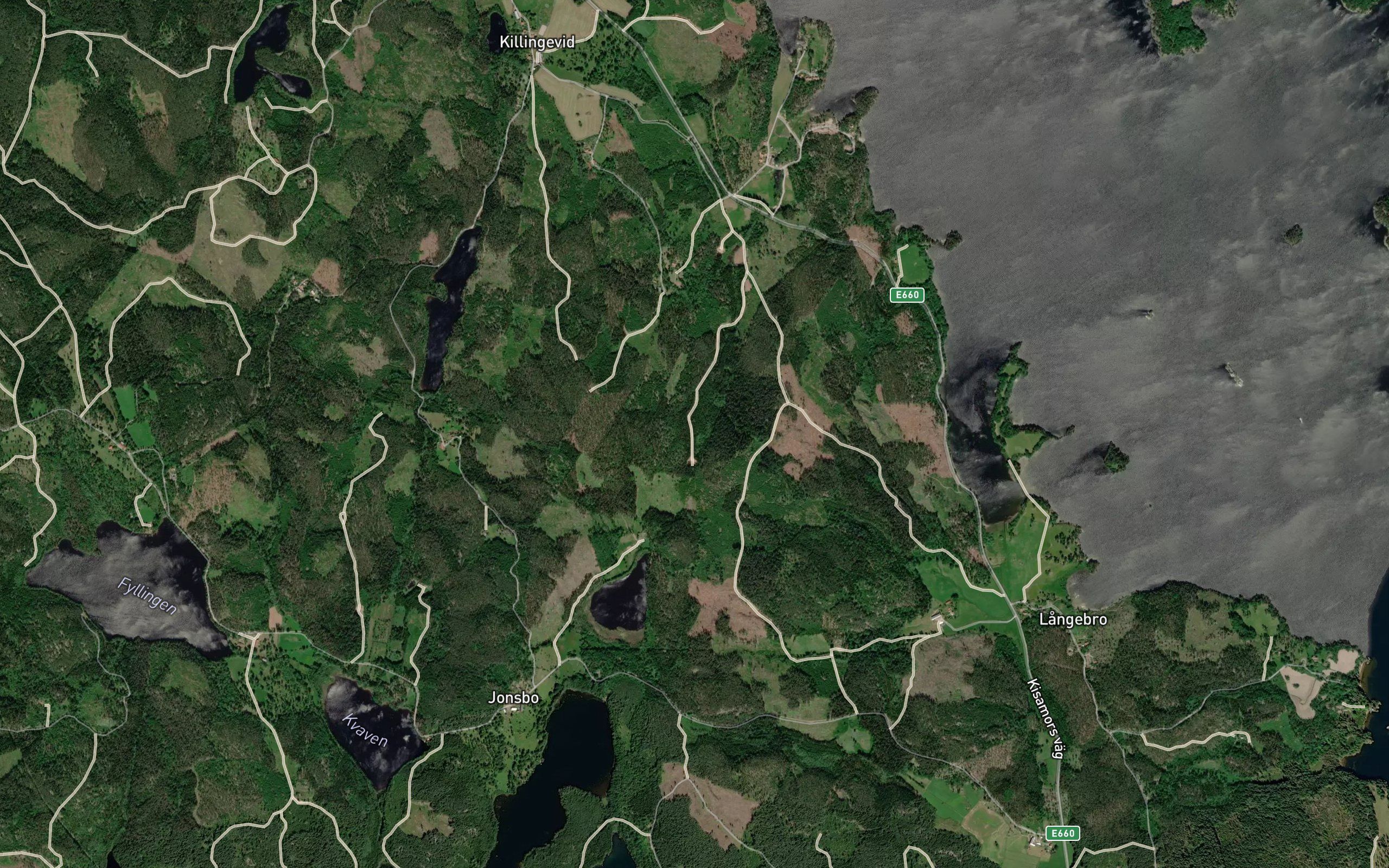 Langsjon