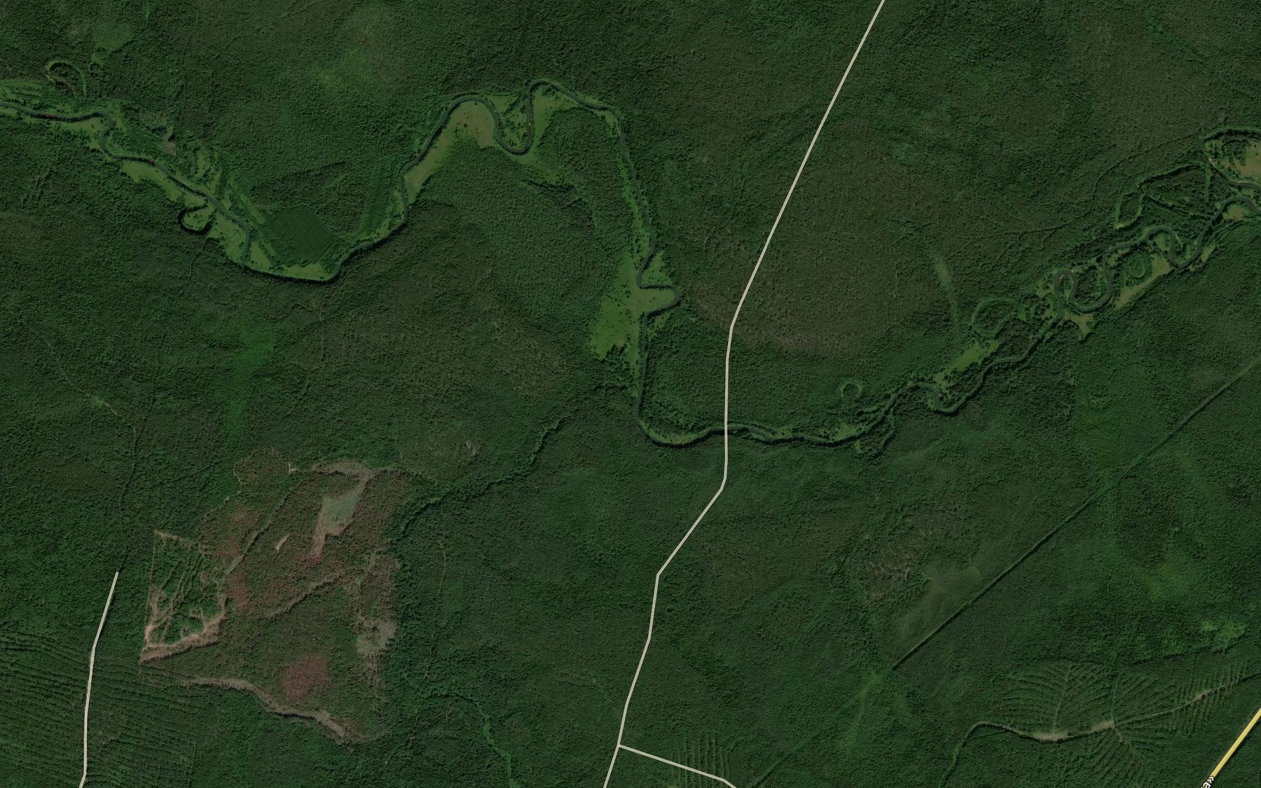 Satellite map of the Yasnorechka