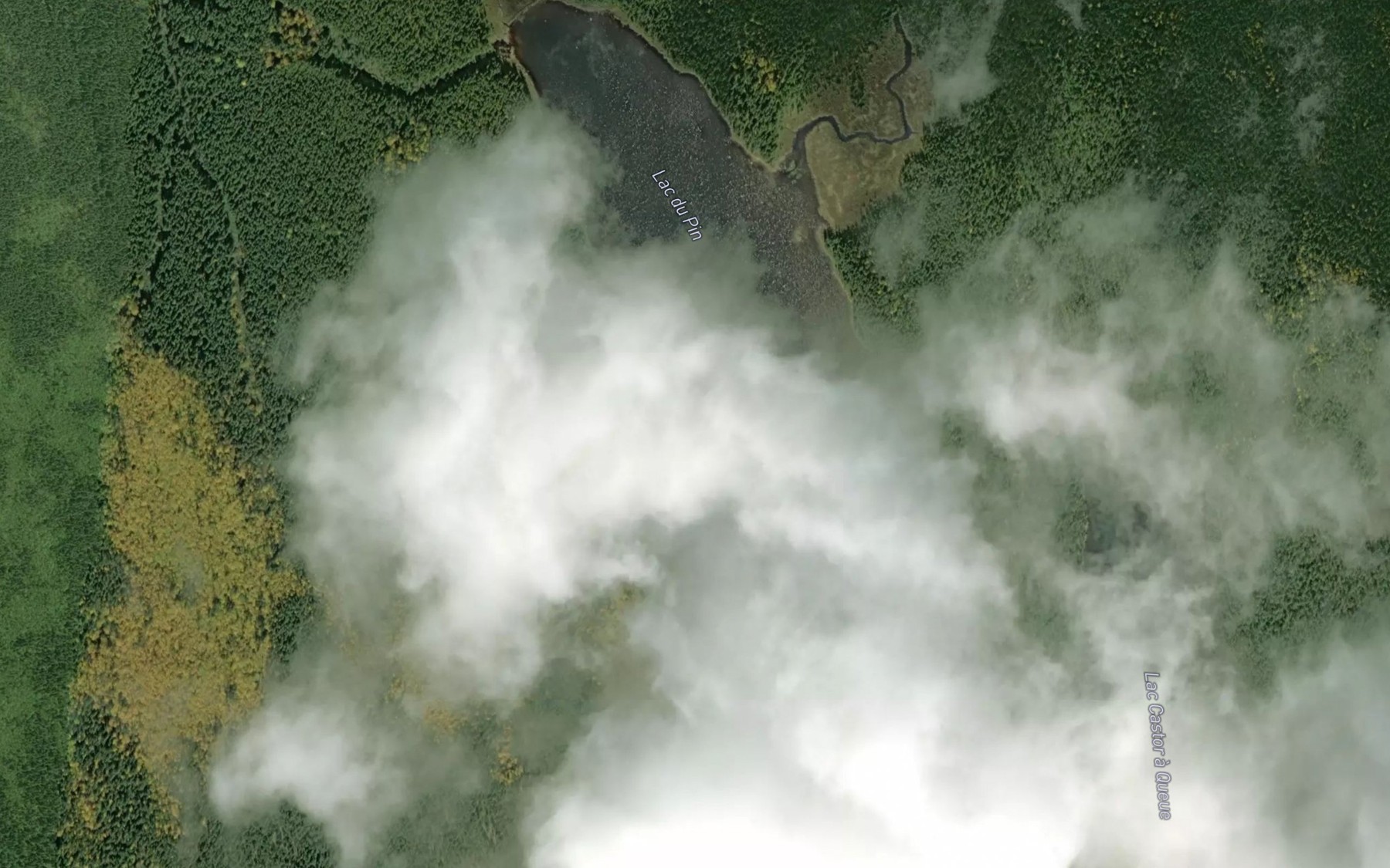 Satellite map of the Lac du Pin