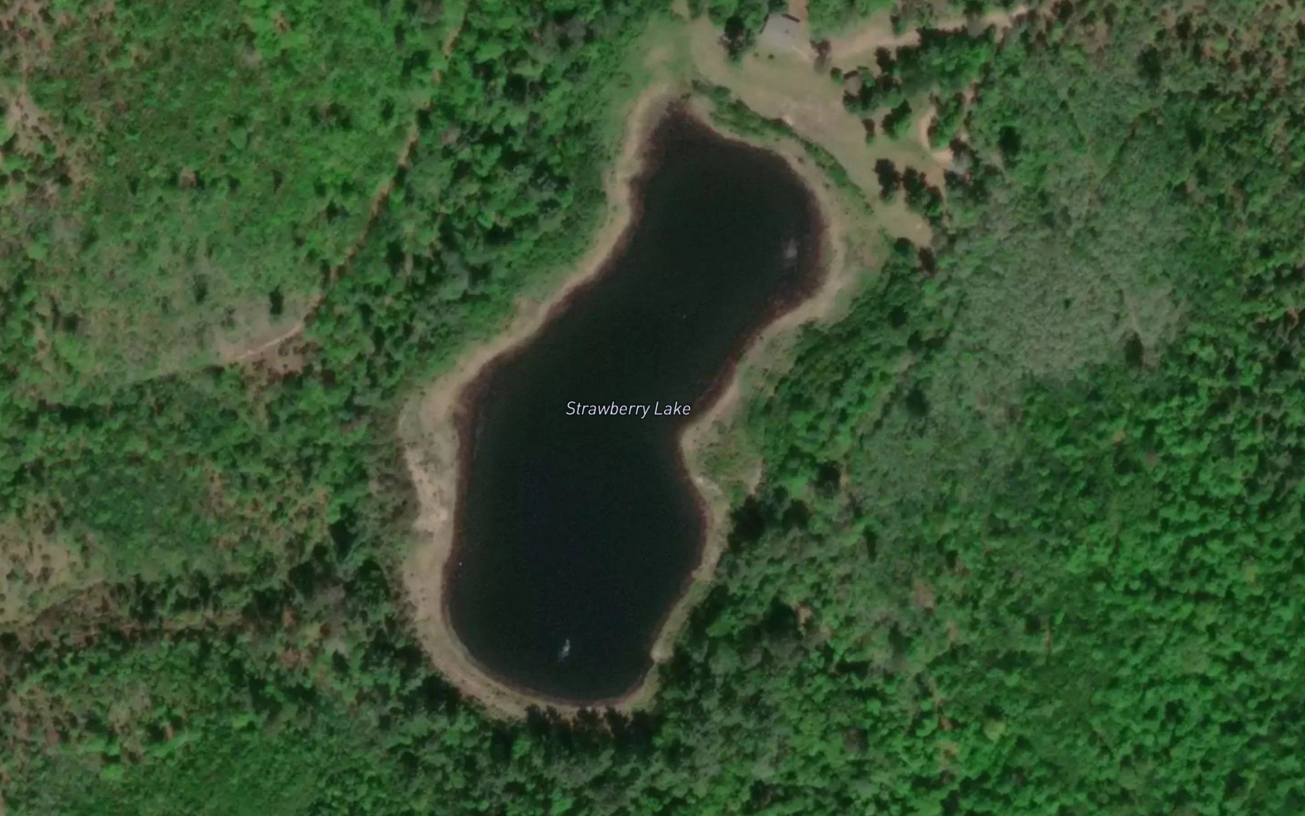 Strawberry Lake