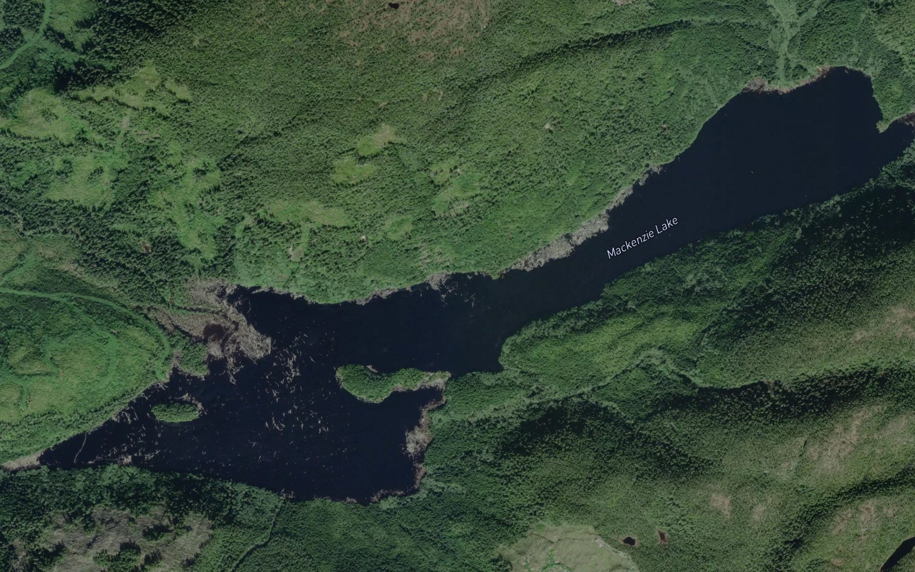 Satellite map of the Mackenzie Lake
