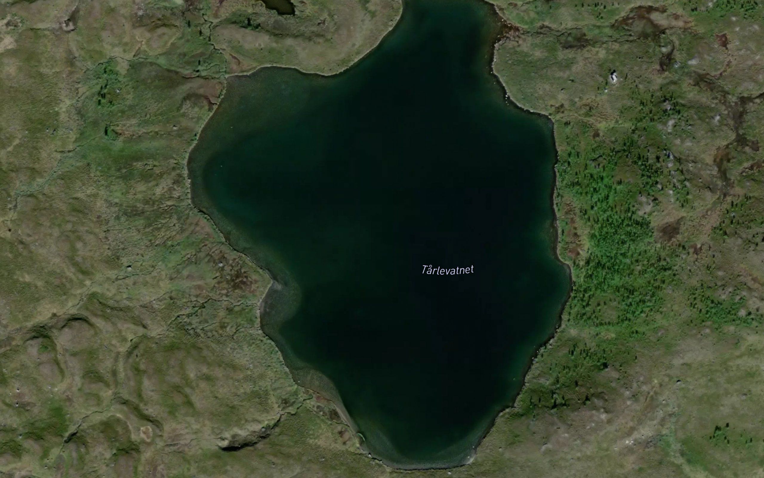 Talevatnet