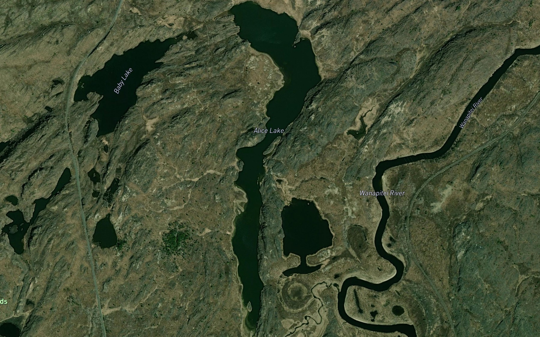 Satellite map of the Alice Lake