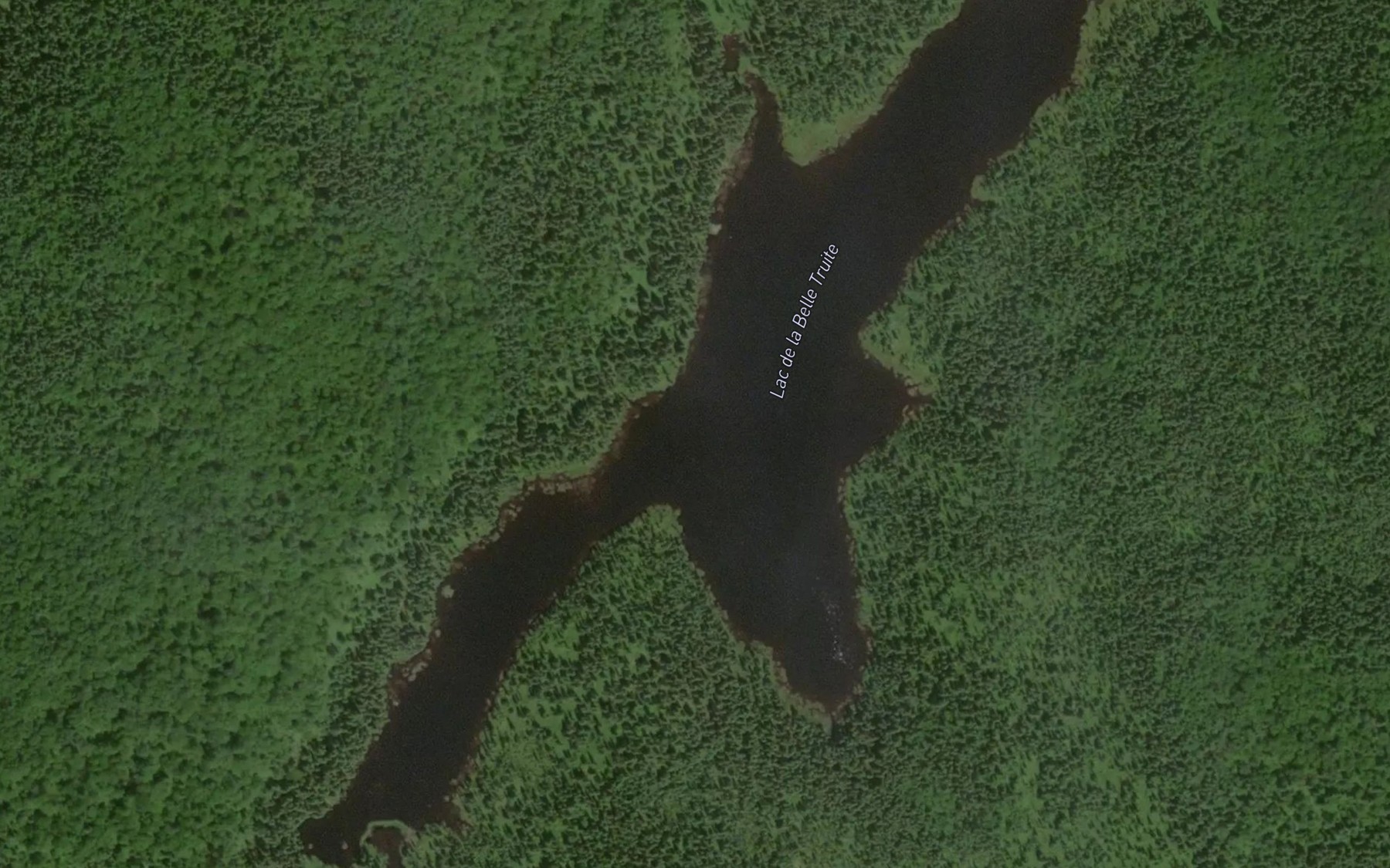 Satellite map of the Lac de la Belle Truite