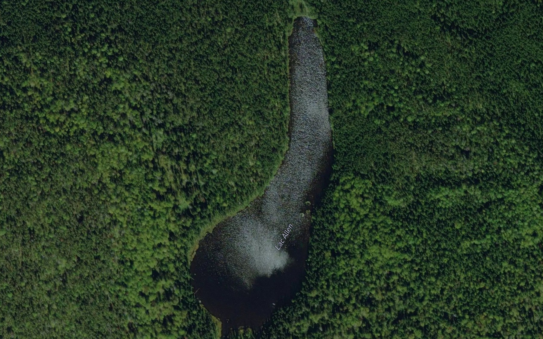 Satellite map of the Lac Allen