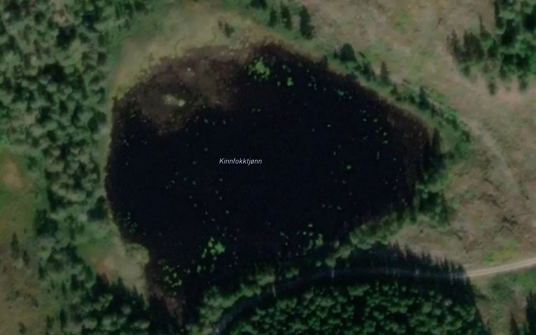 Satellite map of the Kinnfokktjonn