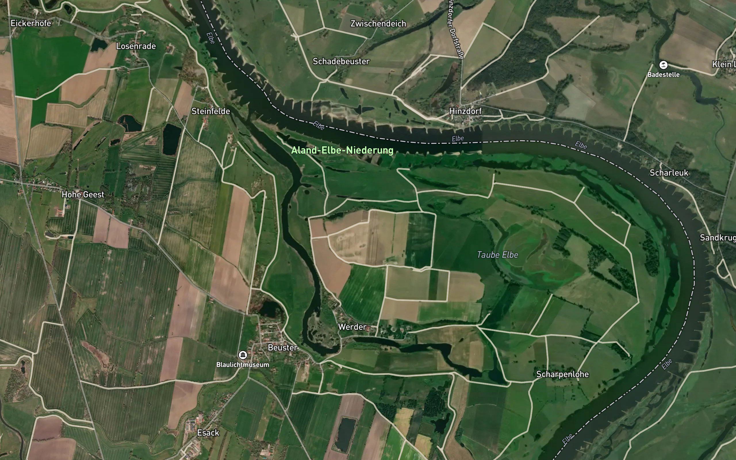 Taube Elbe