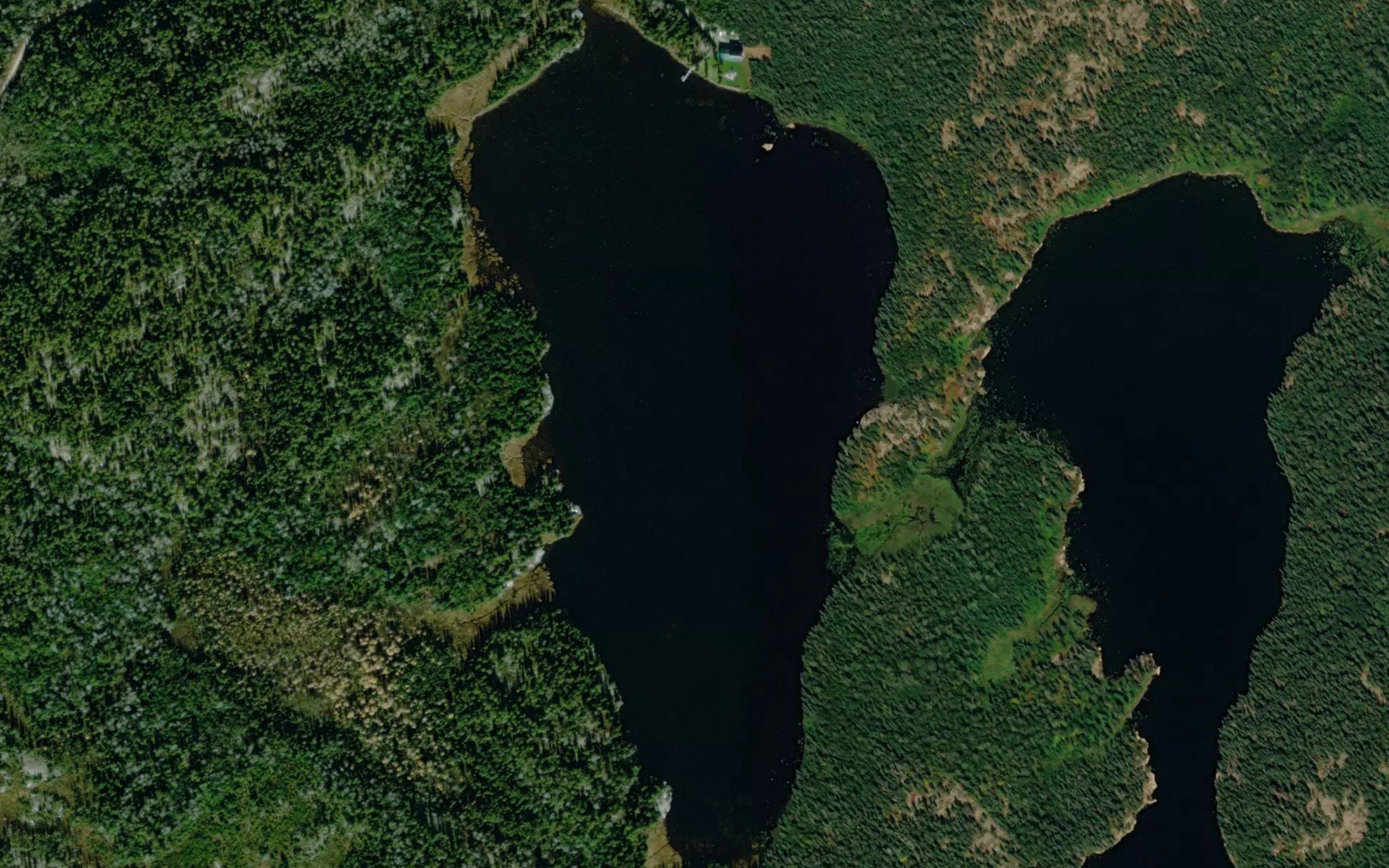 Esther Lake