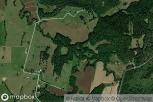 Morgan Creek
