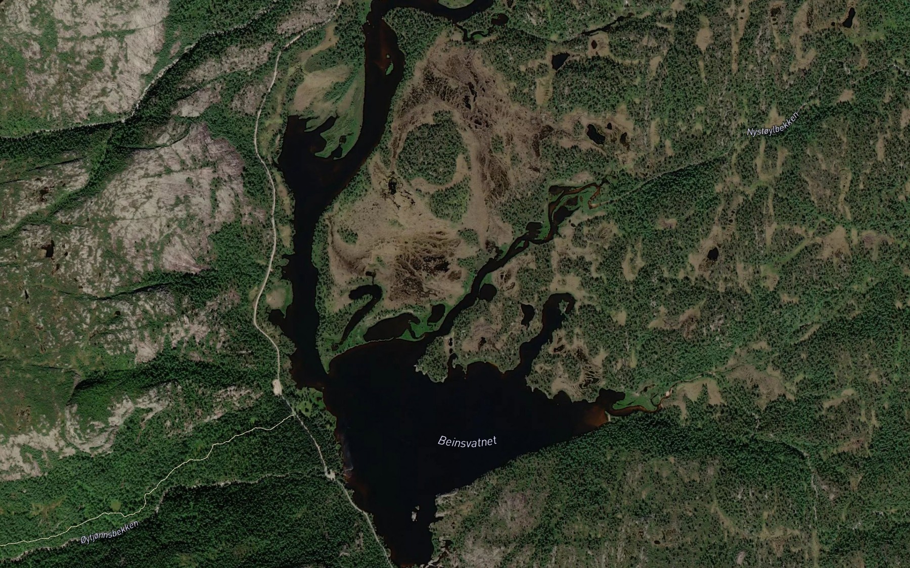 Satellite map of the Beinsvatnet