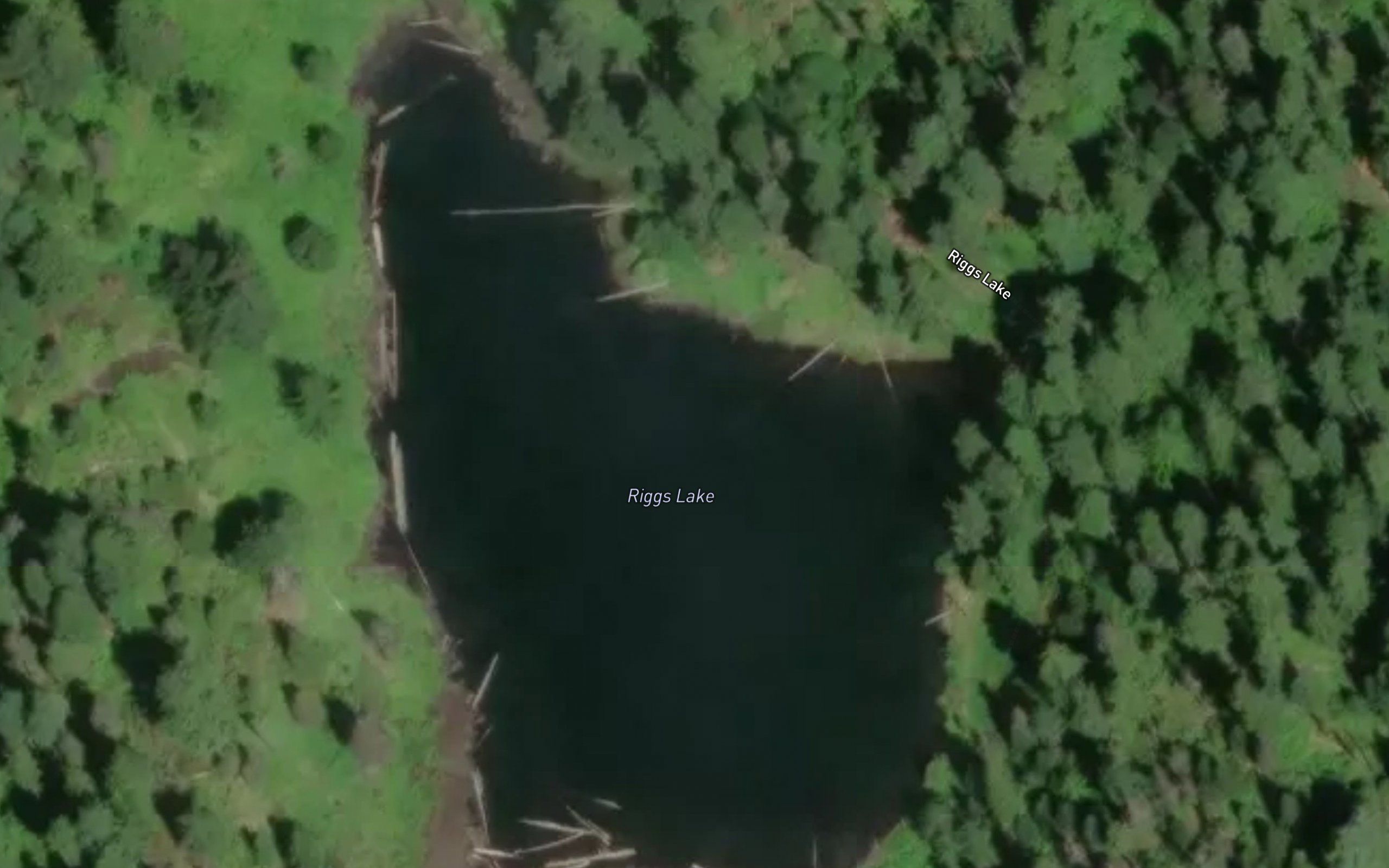 Riggs Lake
