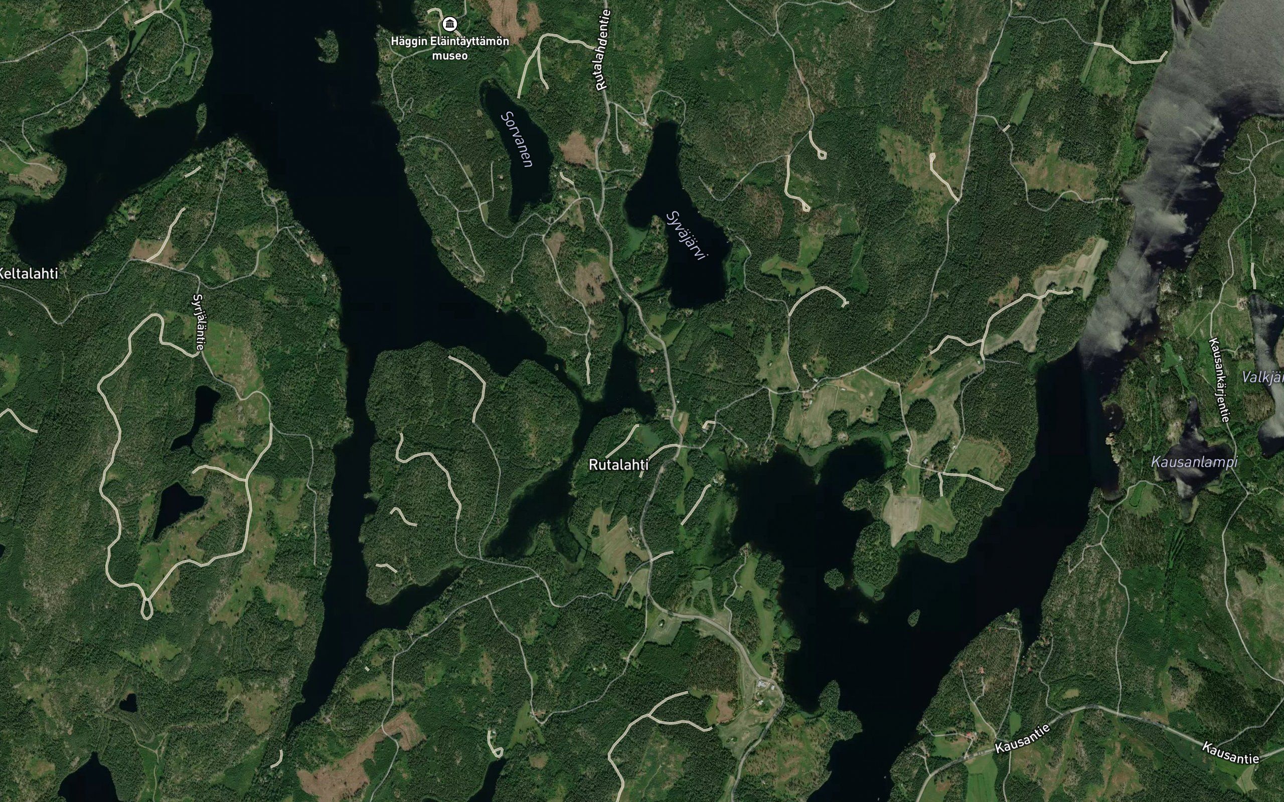 Lokonlahti