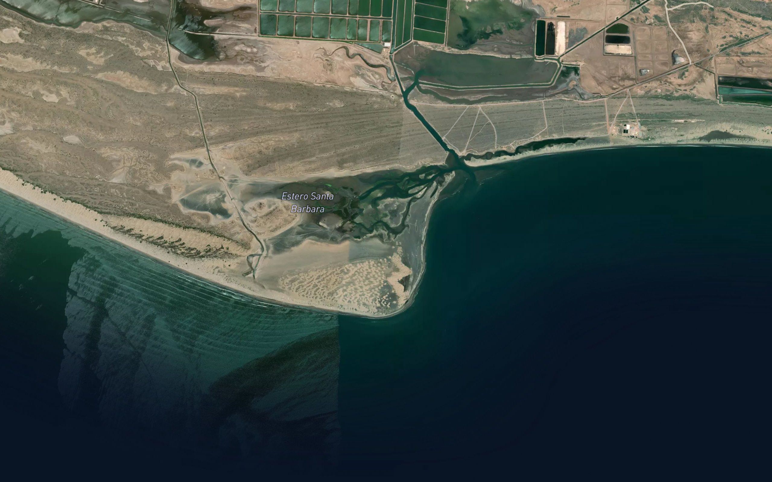 Estero Moeri
