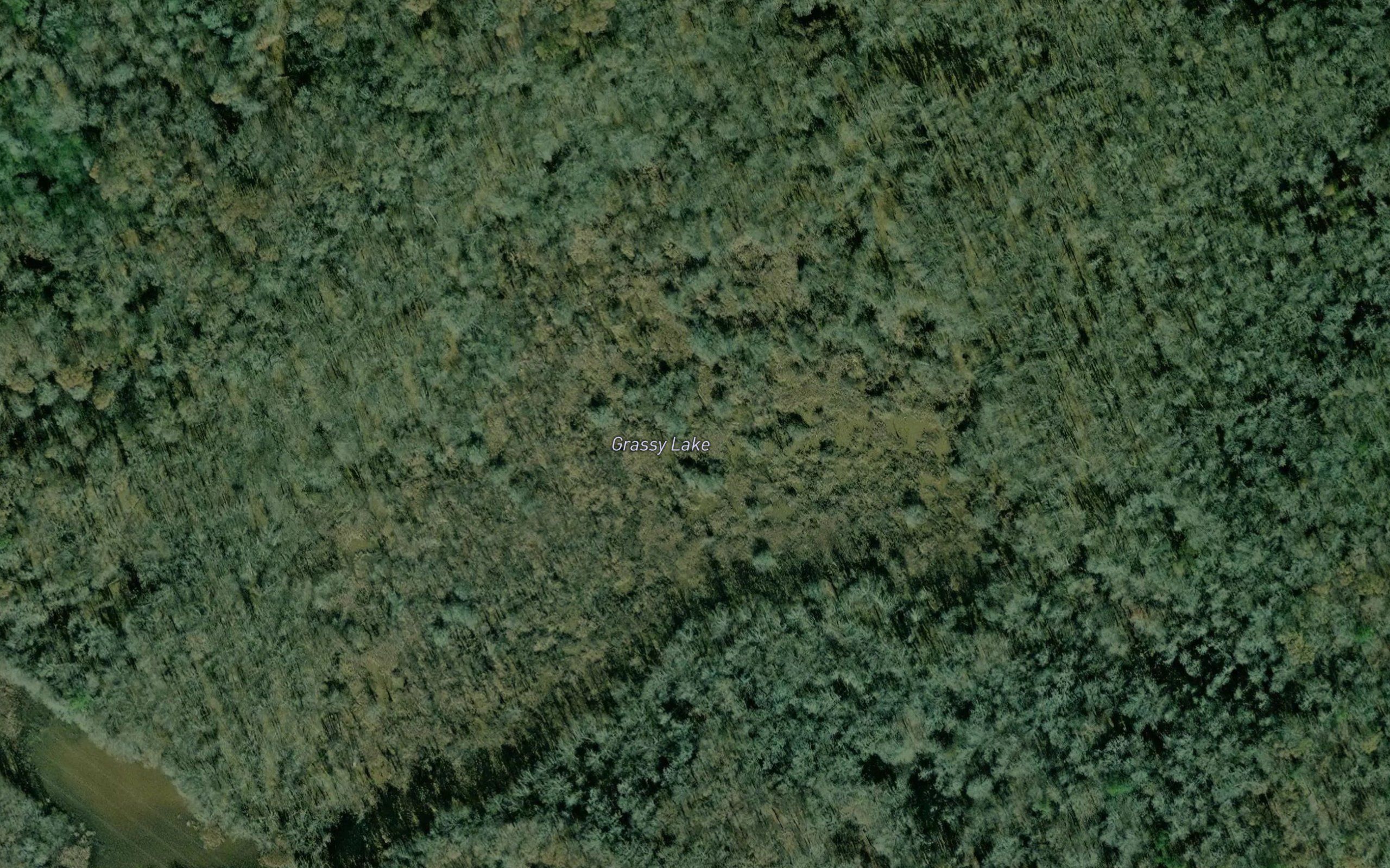 Grassy Lake