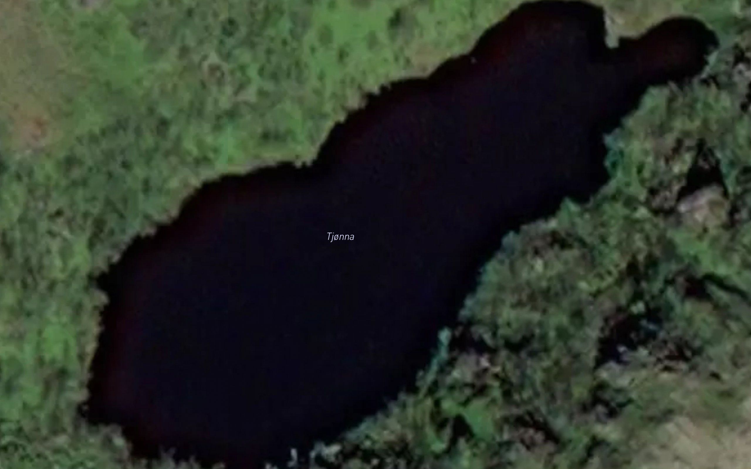 Tjonna