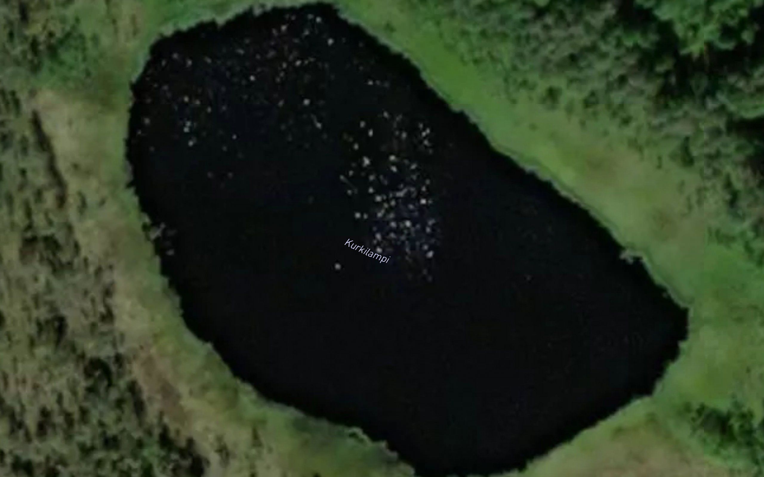 Kurkilampi