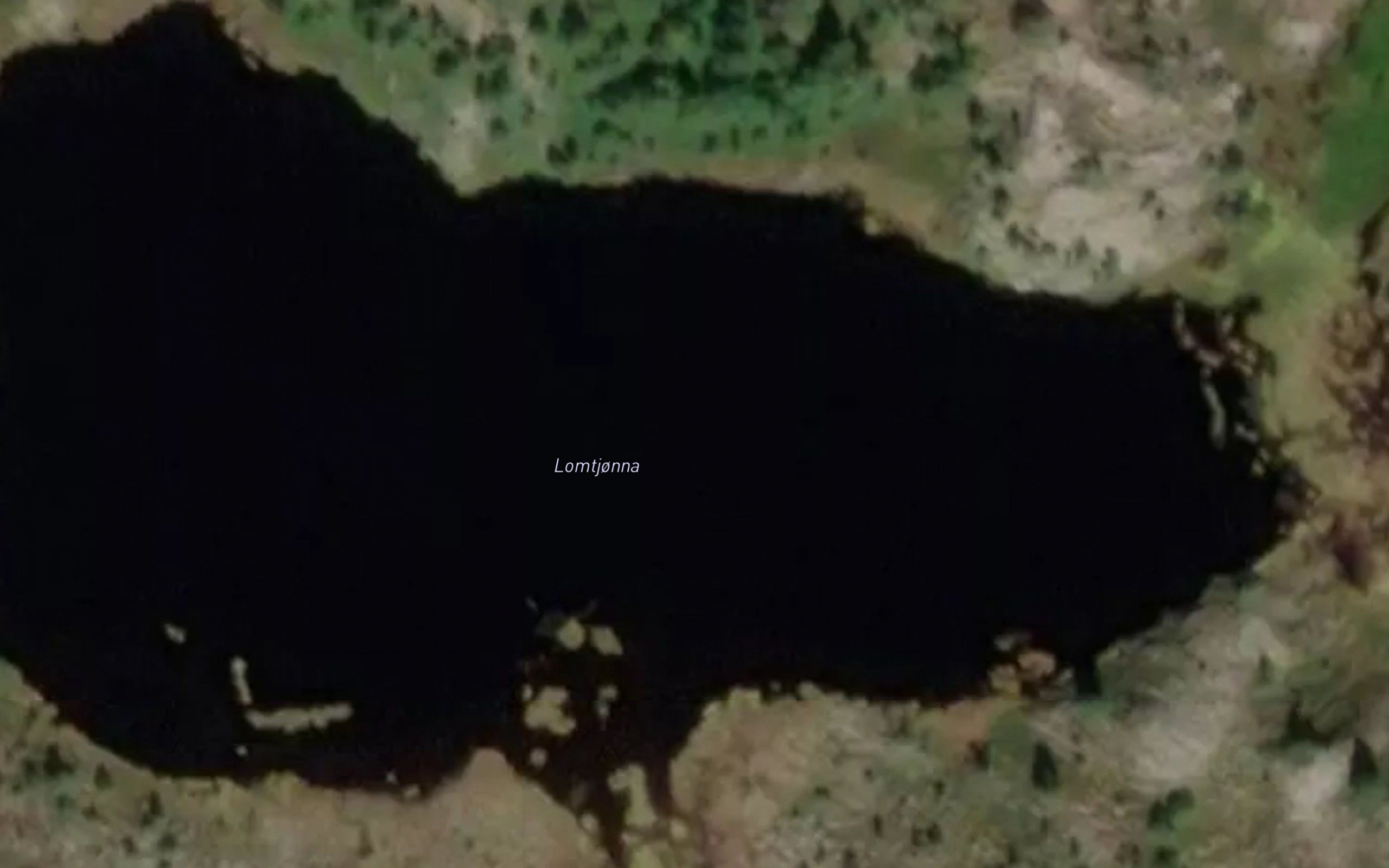 Lomtjorna