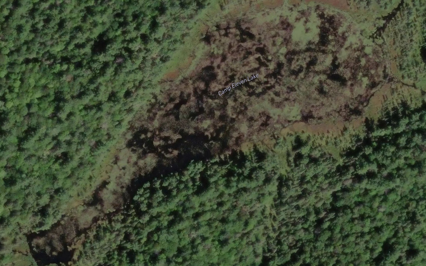 Satellite map of the Camp Eleven Lake