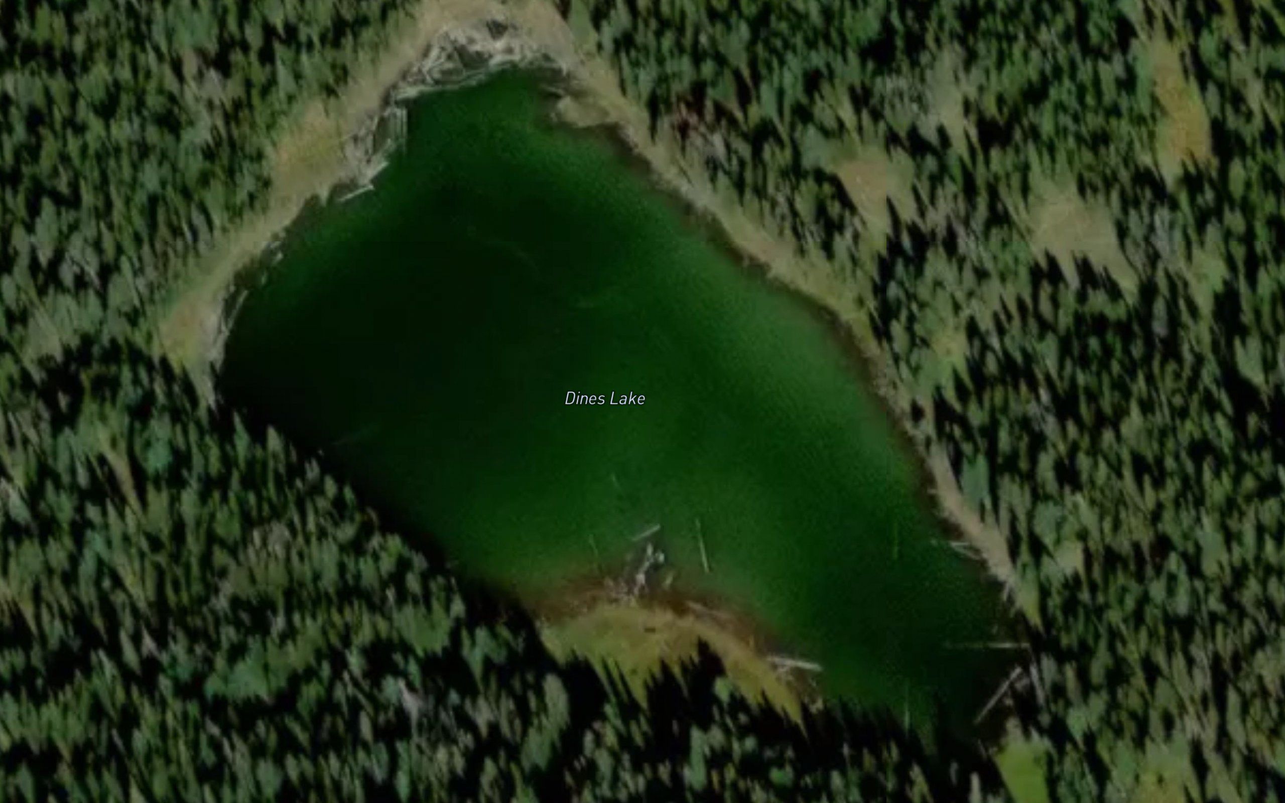 Dines Lake