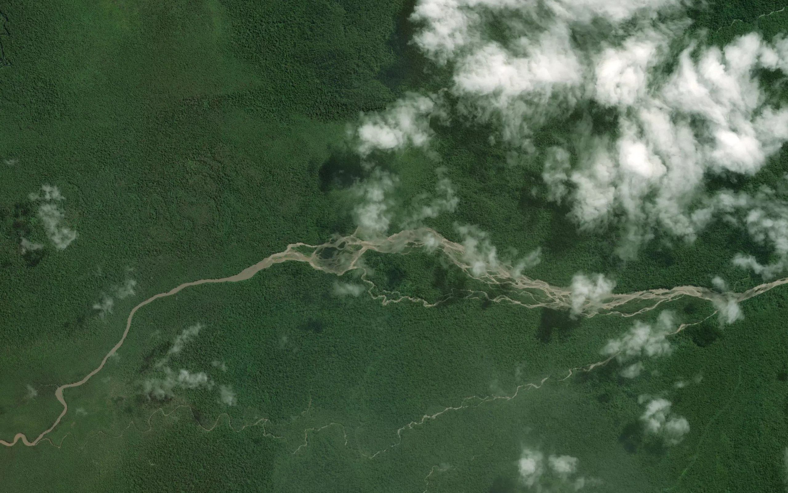 Korau