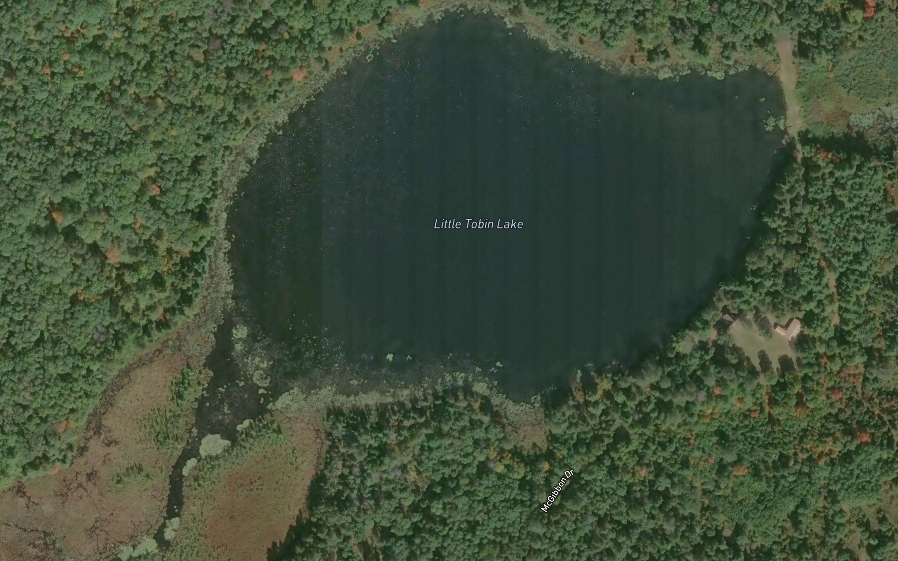 Satellite map of the Little Tobin Lake