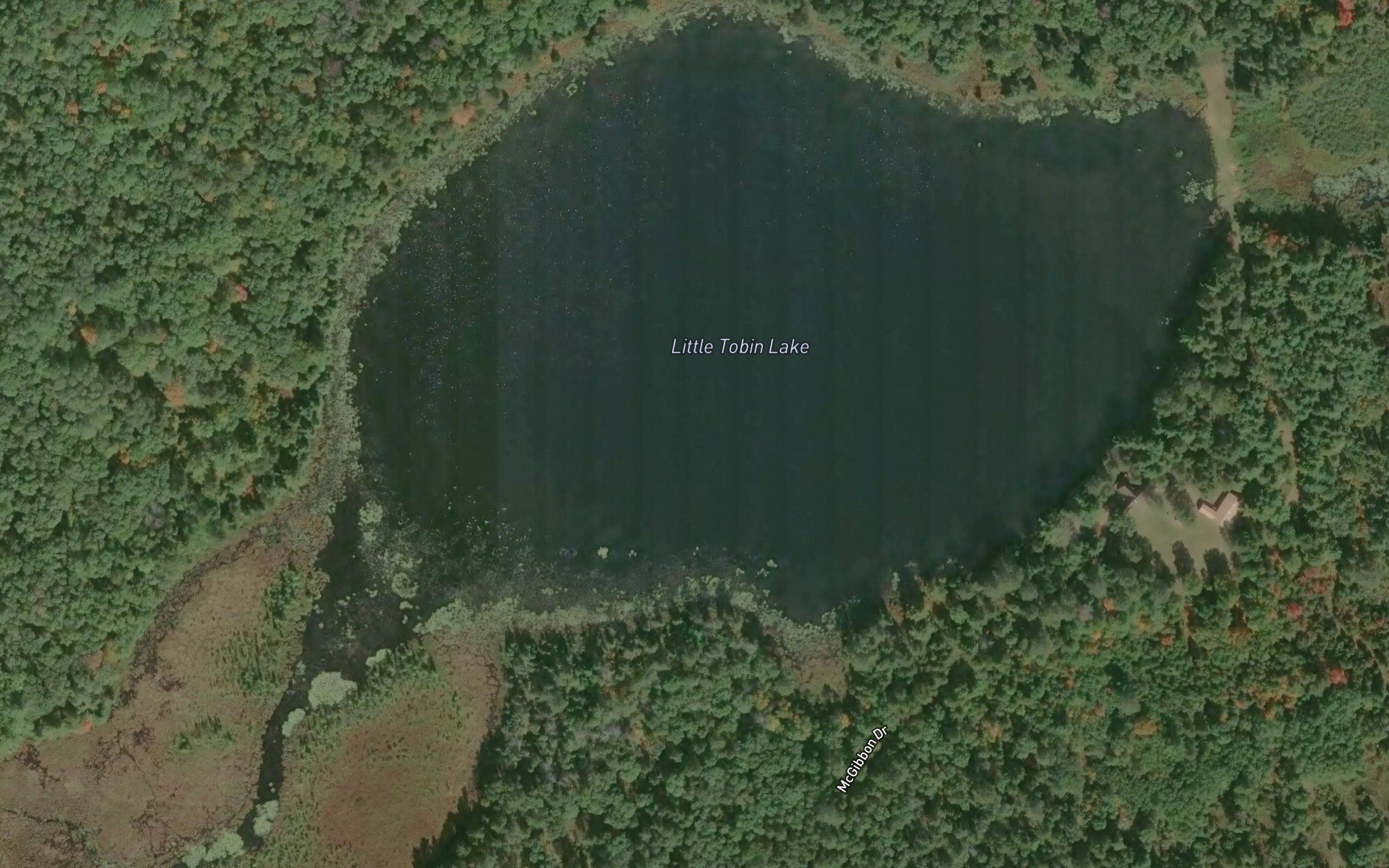 Little Tobin Lake
